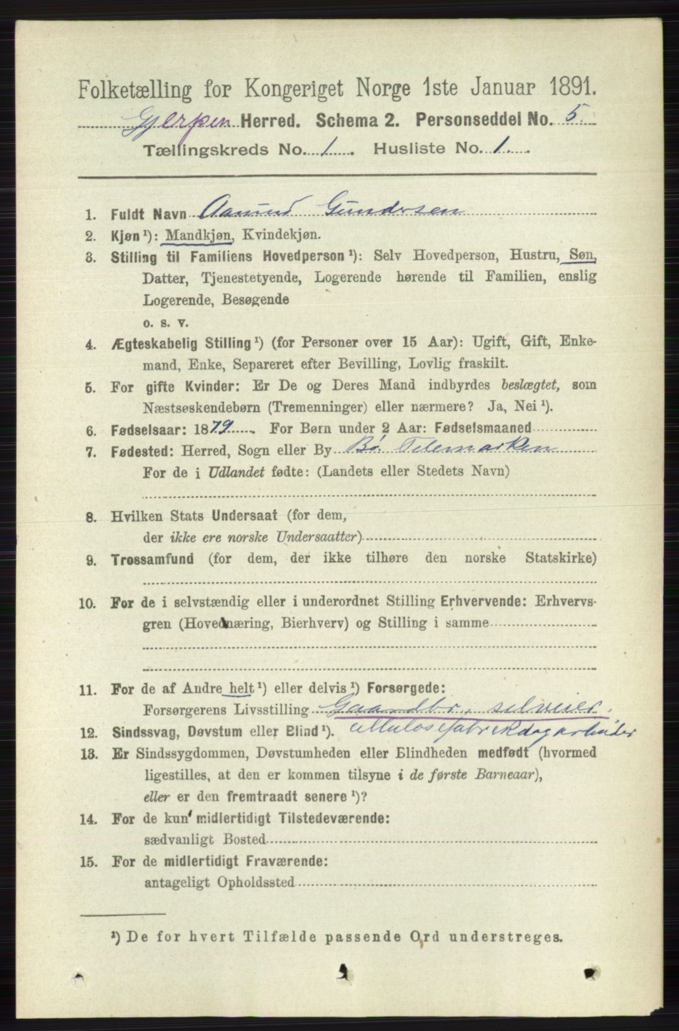 RA, 1891 census for 0812 Gjerpen, 1891, p. 110