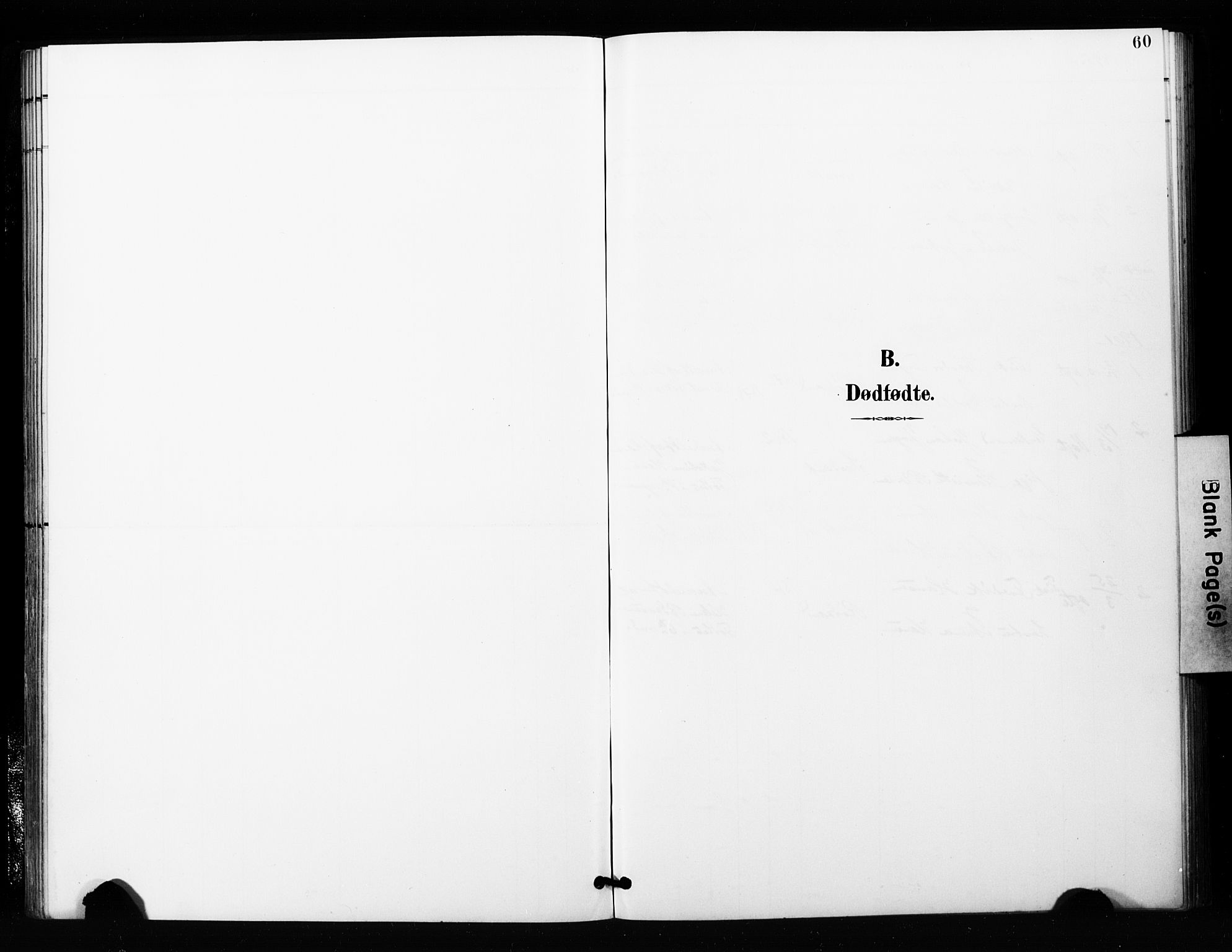 Berg sokneprestkontor, SATØ/S-1318/G/Ga/Gaa/L0006kirke: Parish register (official) no. 6, 1894-1904, p. 60