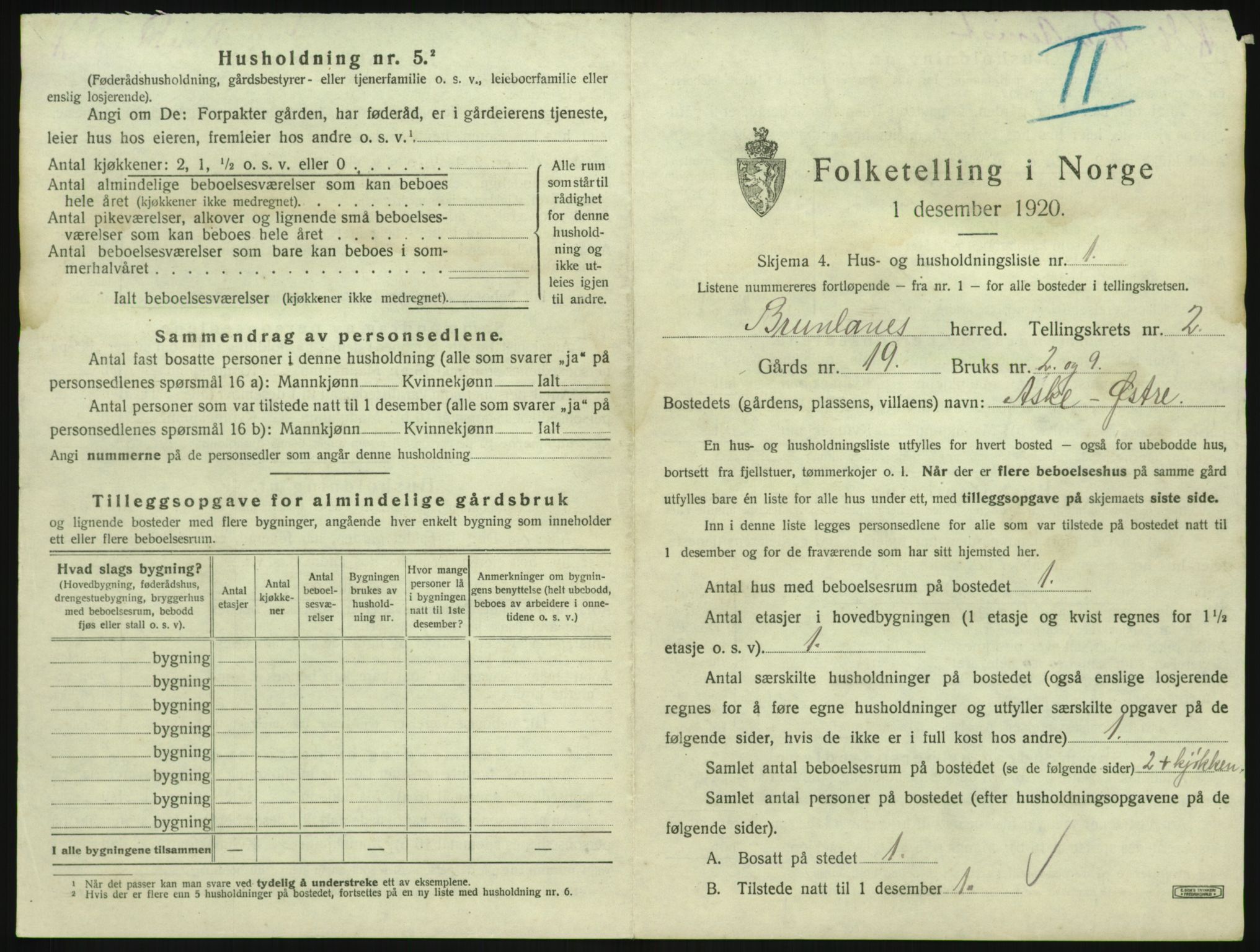 SAKO, 1920 census for Brunlanes, 1920, p. 313