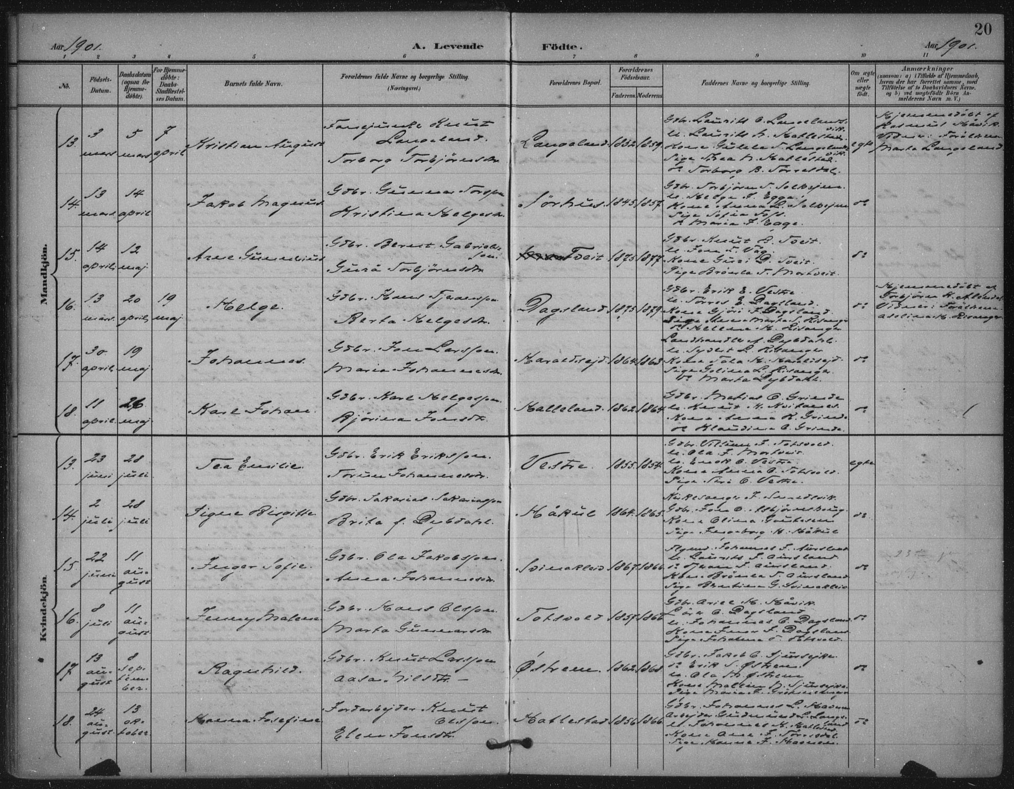 Skjold sokneprestkontor, AV/SAST-A-101847/H/Ha/Haa/L0011: Parish register (official) no. A 11, 1897-1914, p. 20