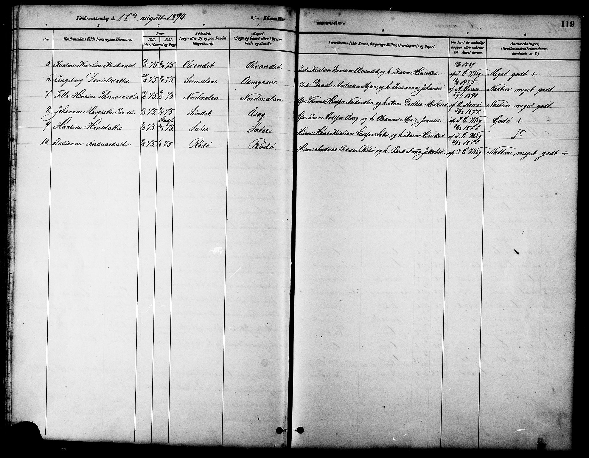 Ministerialprotokoller, klokkerbøker og fødselsregistre - Sør-Trøndelag, AV/SAT-A-1456/658/L0726: Parish register (copy) no. 658C02, 1883-1908, p. 119