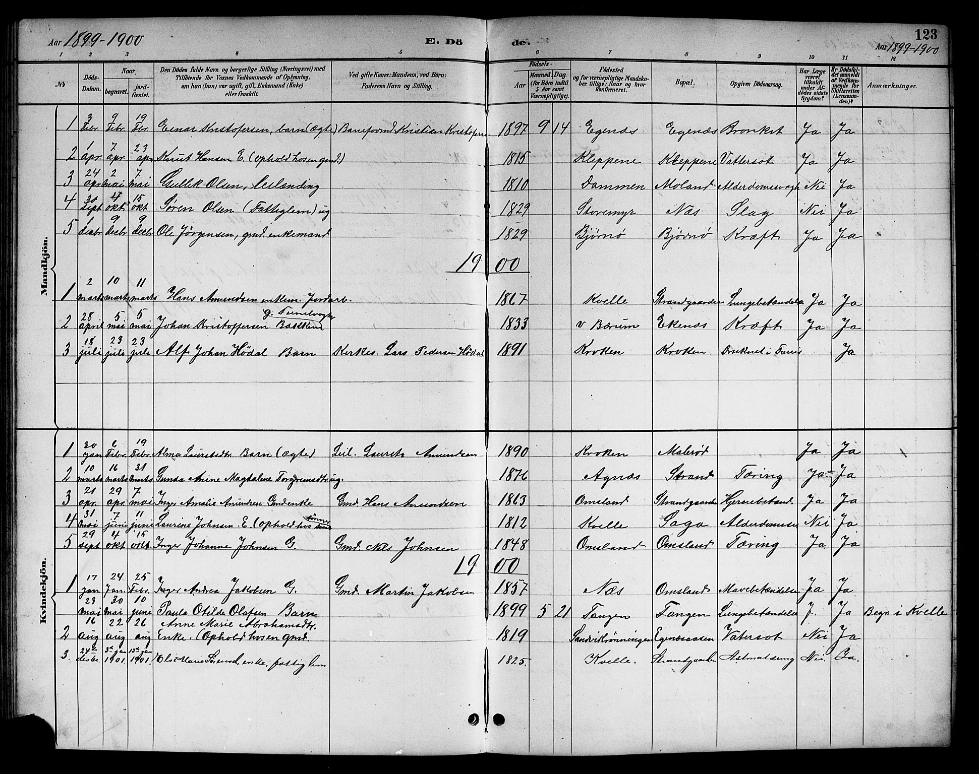 Brunlanes kirkebøker, SAKO/A-342/G/Gc/L0002: Parish register (copy) no. III 2, 1891-1922, p. 123
