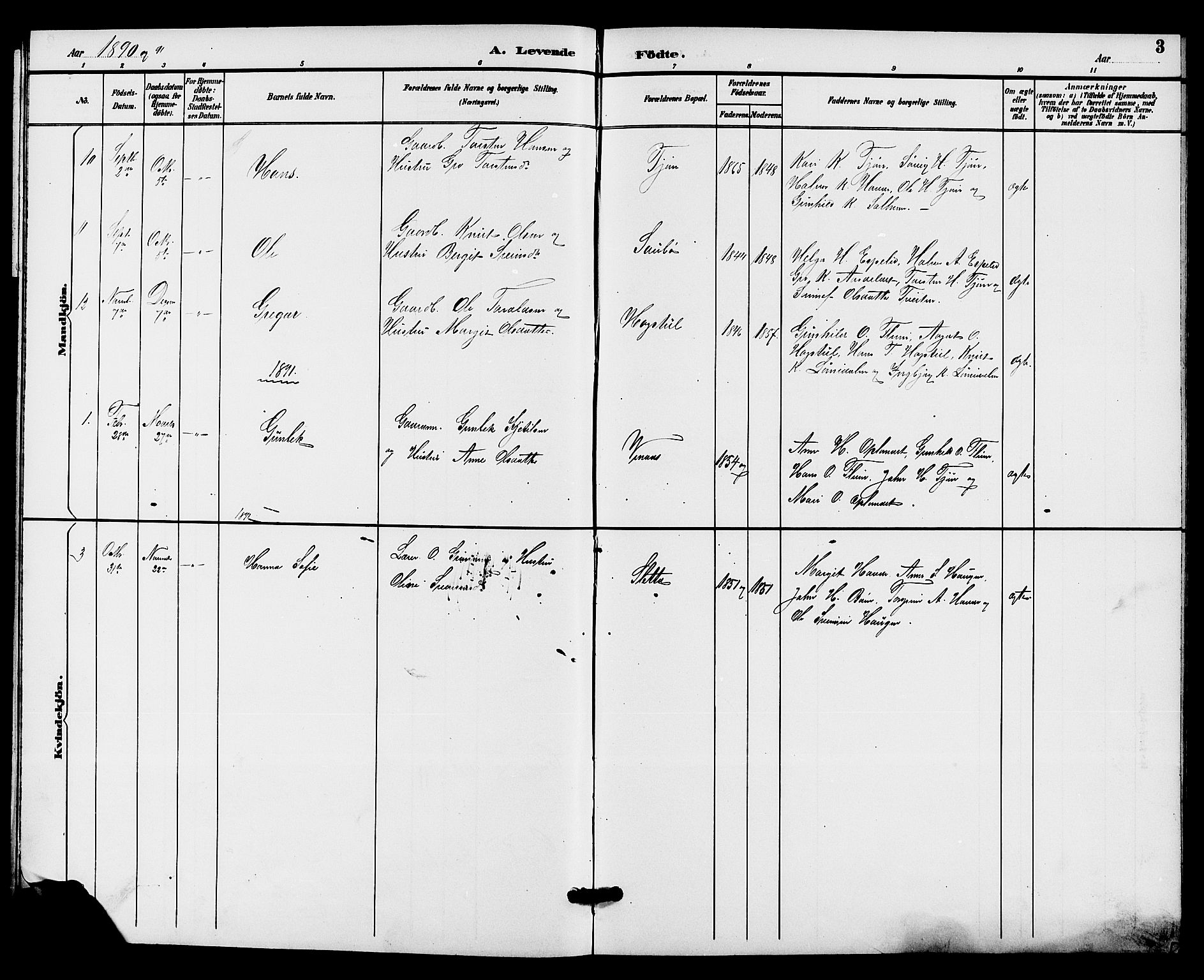 Hjartdal kirkebøker, SAKO/A-270/G/Gc/L0003: Parish register (copy) no. III 3, 1890-1907, p. 3