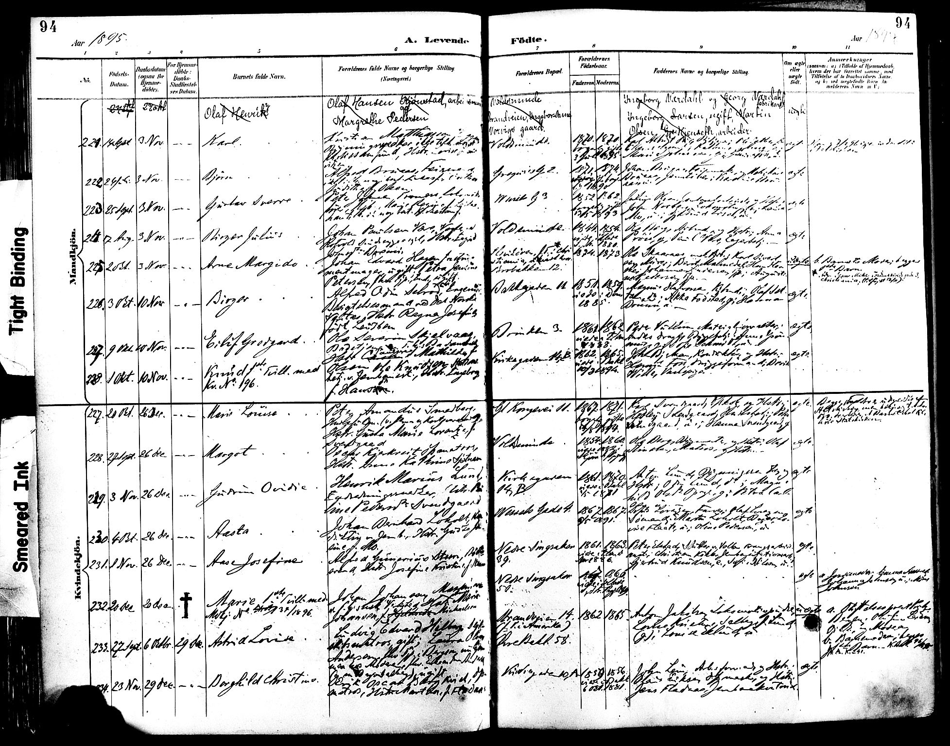 Ministerialprotokoller, klokkerbøker og fødselsregistre - Sør-Trøndelag, AV/SAT-A-1456/604/L0197: Parish register (official) no. 604A18, 1893-1900, p. 94