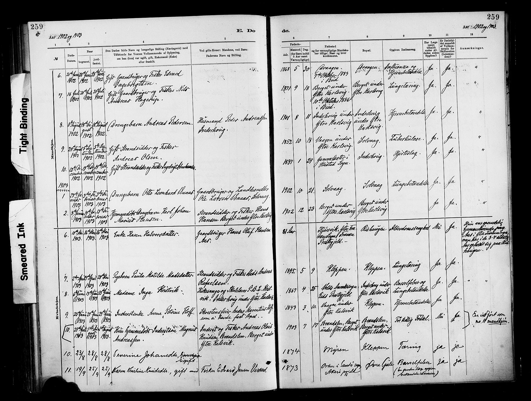 Ministerialprotokoller, klokkerbøker og fødselsregistre - Møre og Romsdal, SAT/A-1454/566/L0769: Parish register (official) no. 566A08, 1881-1903, p. 259