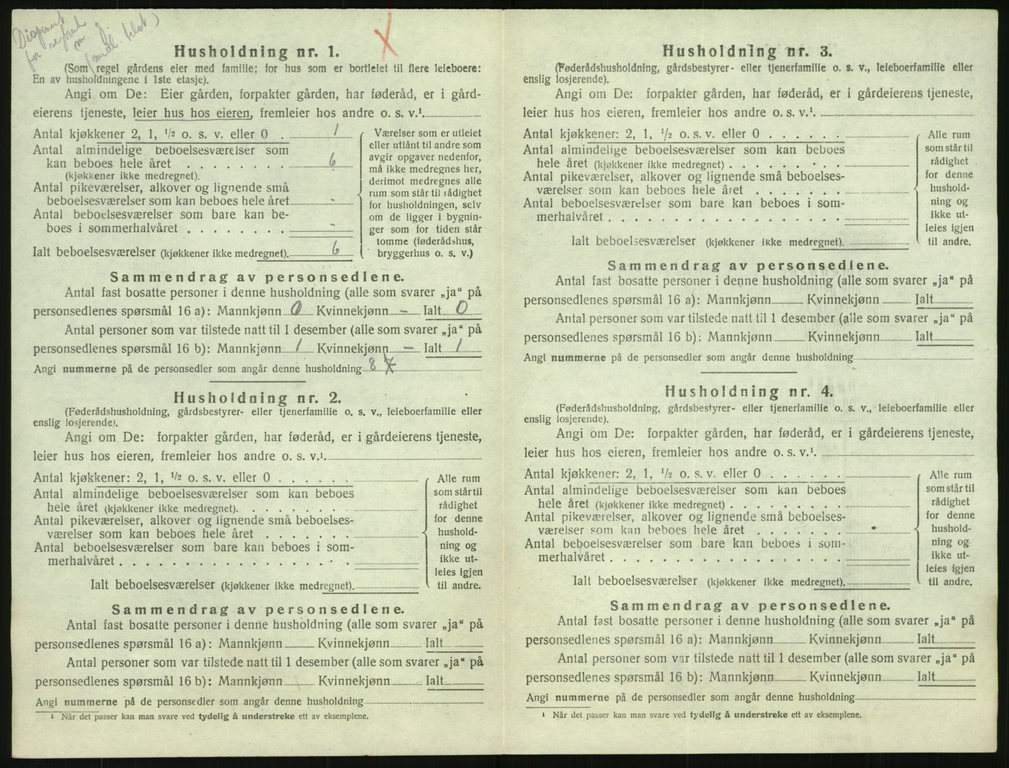 SAK, 1920 census for Hornnes, 1920, p. 456