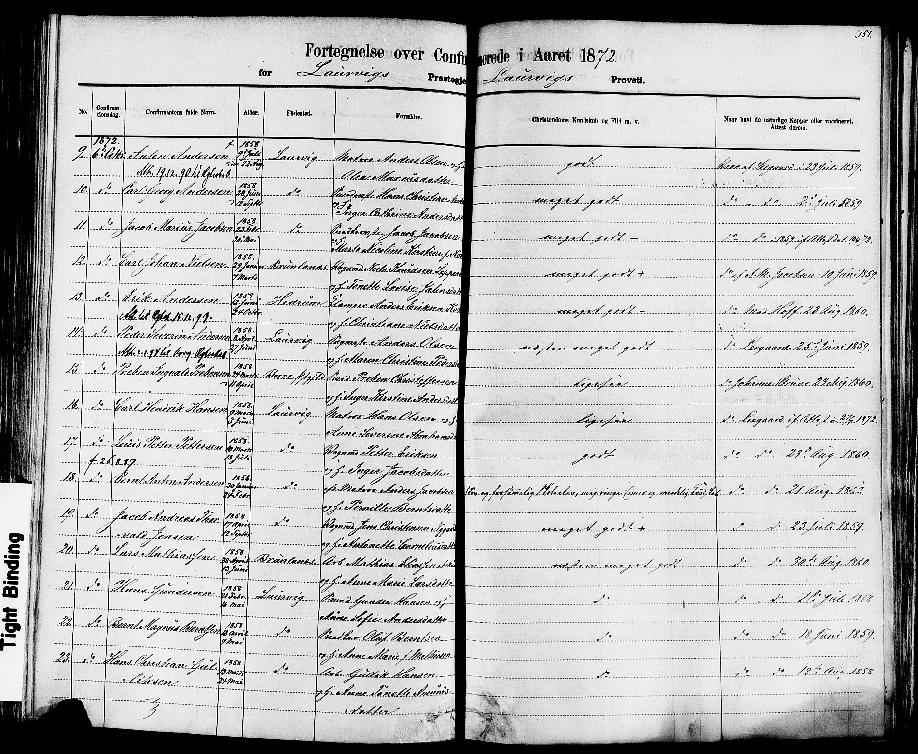 Larvik kirkebøker, SAKO/A-352/F/Fa/L0006: Parish register (official) no. I 6, 1871-1883, p. 351
