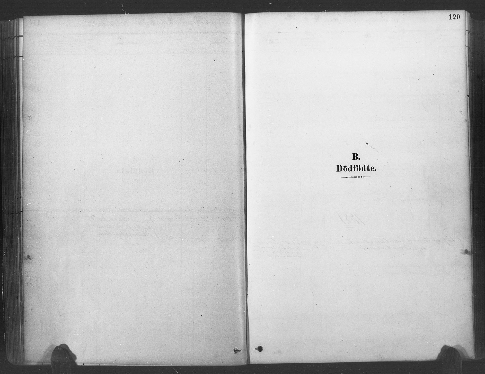 Søgne sokneprestkontor, SAK/1111-0037/F/Fa/Fab/L0012: Parish register (official) no. A 12, 1880-1891, p. 120
