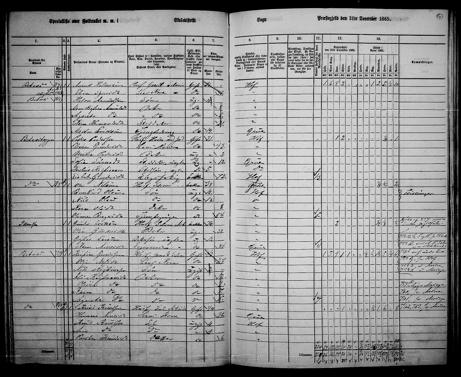 RA, 1865 census for Hof, 1865, p. 86