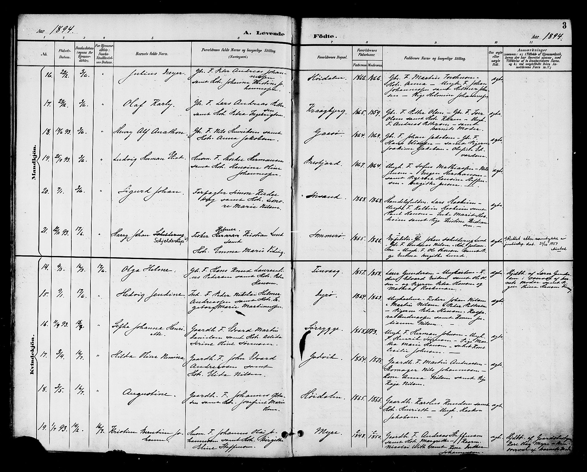 Ministerialprotokoller, klokkerbøker og fødselsregistre - Nordland, SAT/A-1459/893/L1338: Parish register (official) no. 893A10, 1894-1903, p. 3