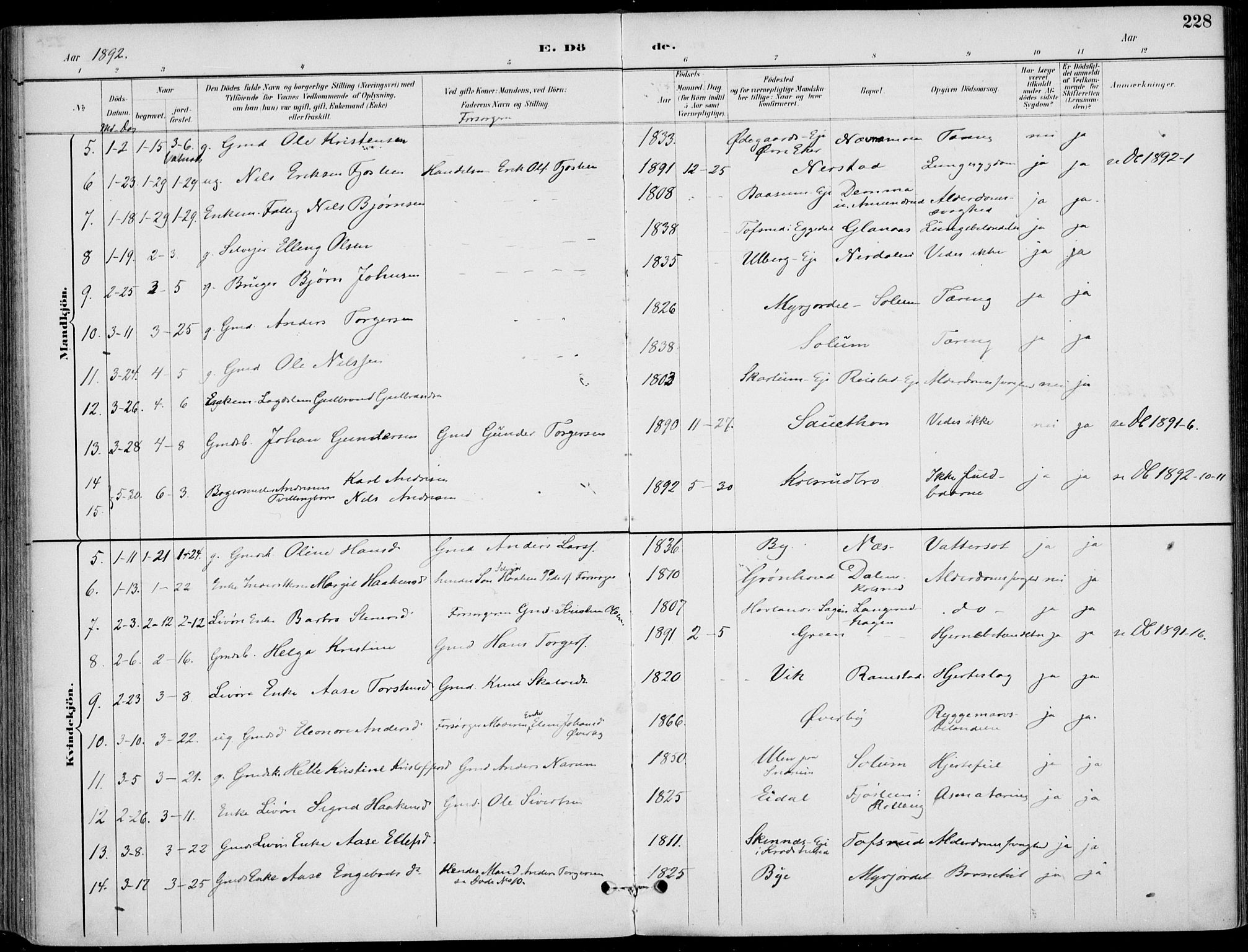 Sigdal kirkebøker, AV/SAKO-A-245/F/Fb/L0001: Parish register (official) no. II 1, 1888-1900, p. 228