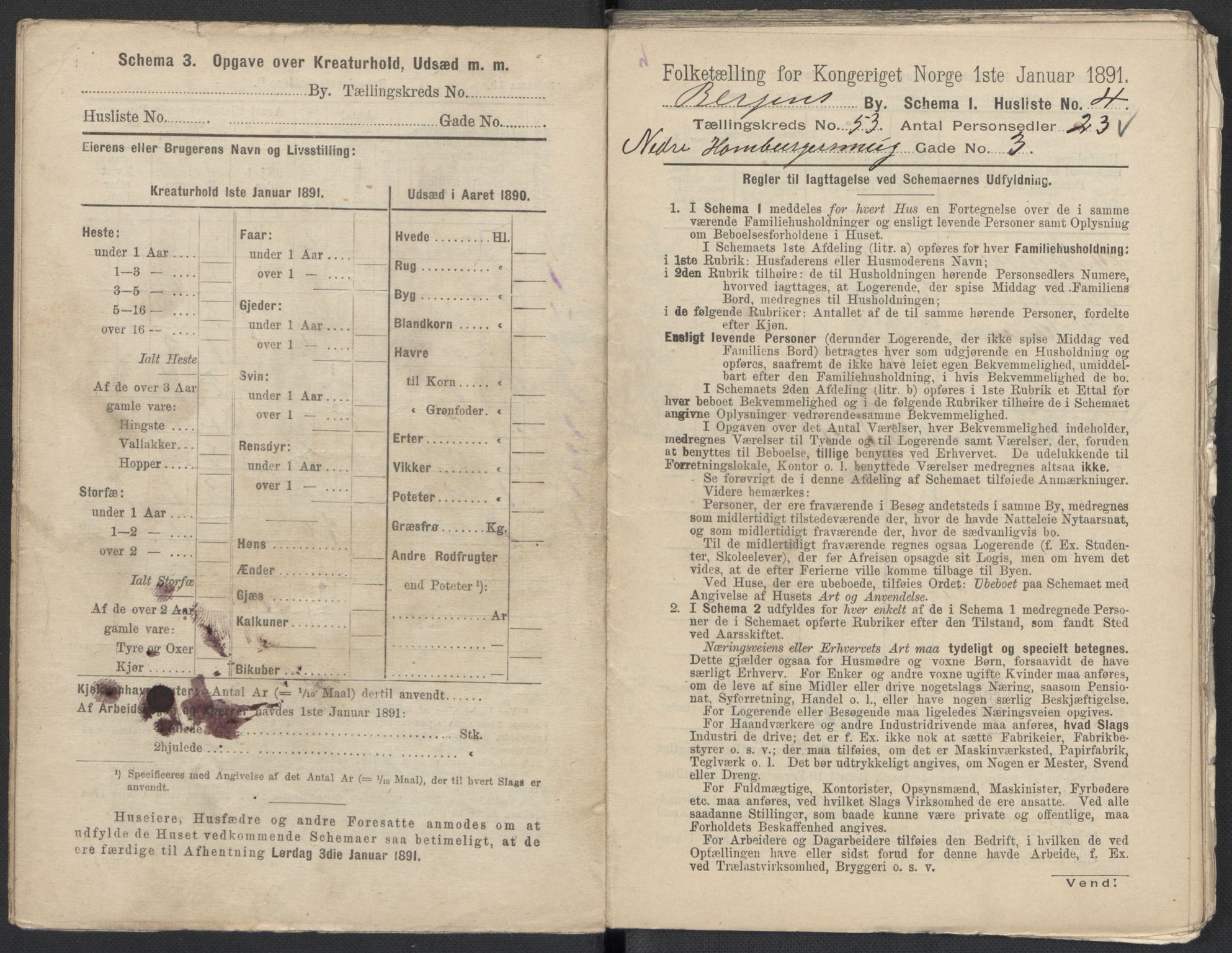 RA, 1891 Census for 1301 Bergen, 1891, p. 8575