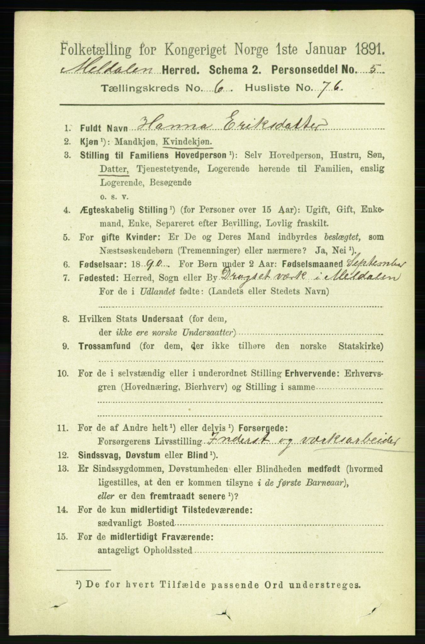 RA, 1891 census for 1636 Meldal, 1891, p. 3321