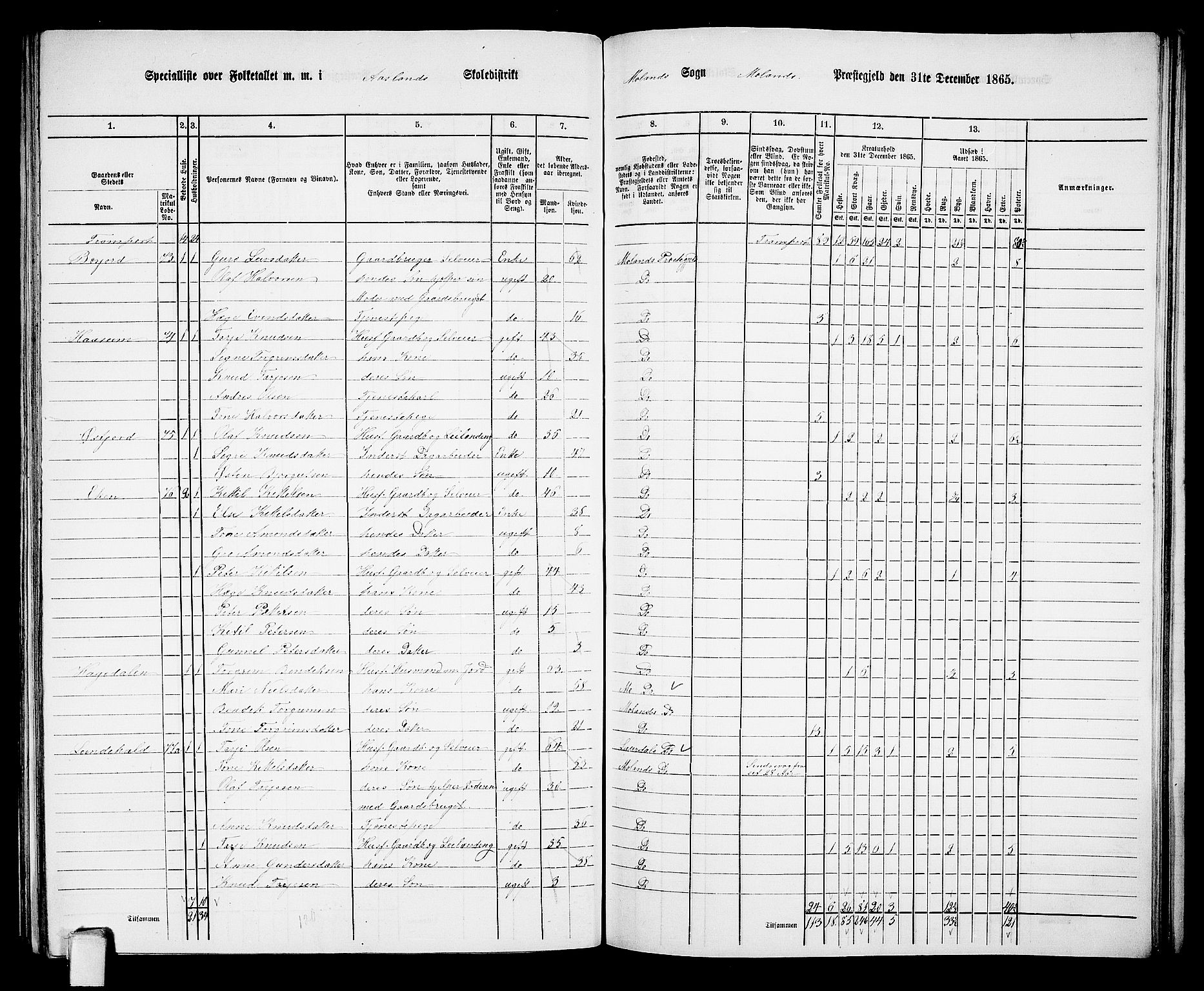 RA, 1865 census for Moland, 1865, p. 41