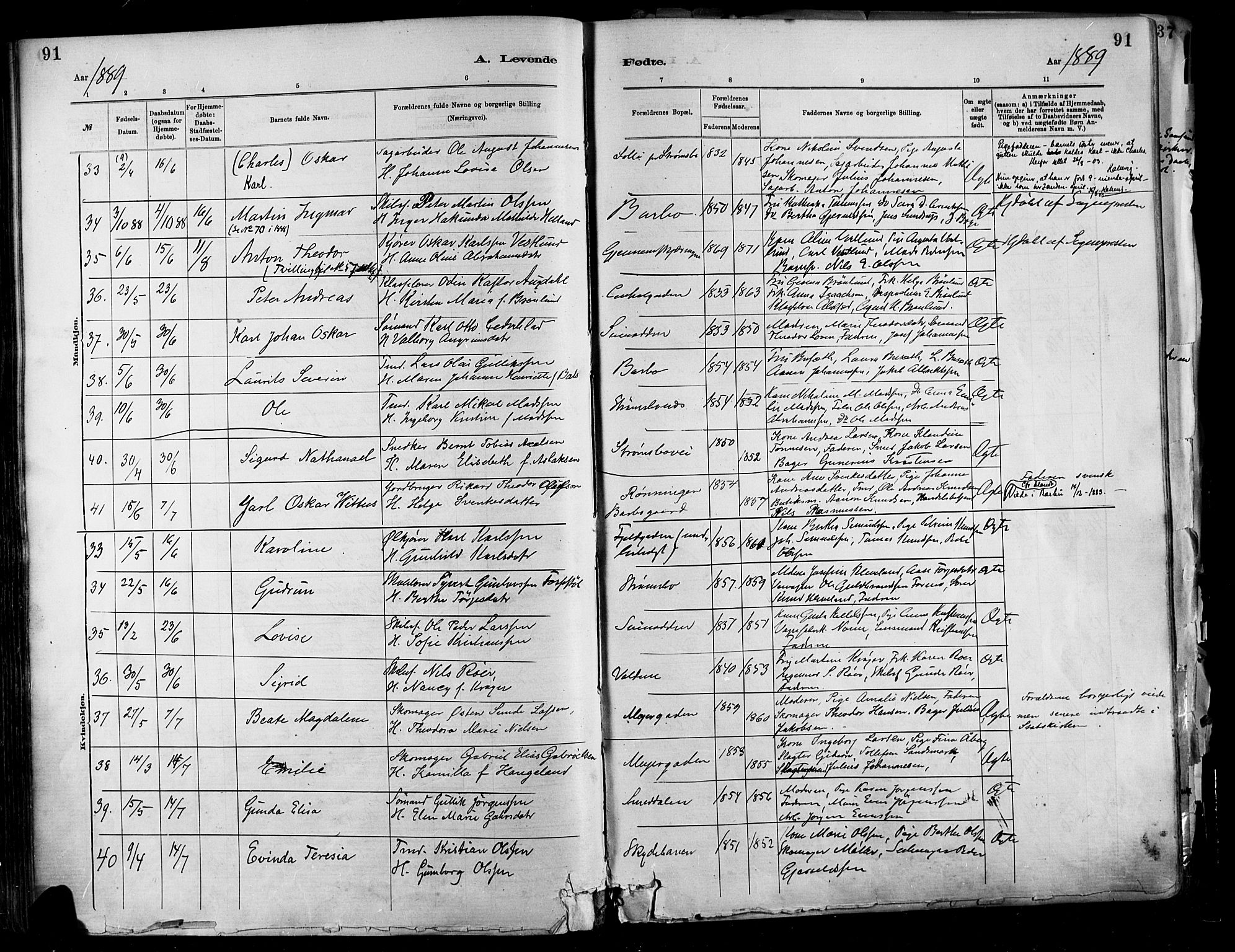 Barbu sokneprestkontor, SAK/1111-0003/F/Fa/L0002: Parish register (official) no. A 2, 1883-1898, p. 91