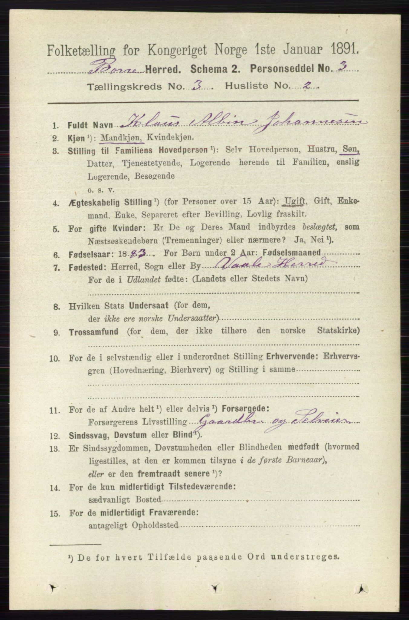 RA, 1891 census for 0717 Borre, 1891, p. 1229