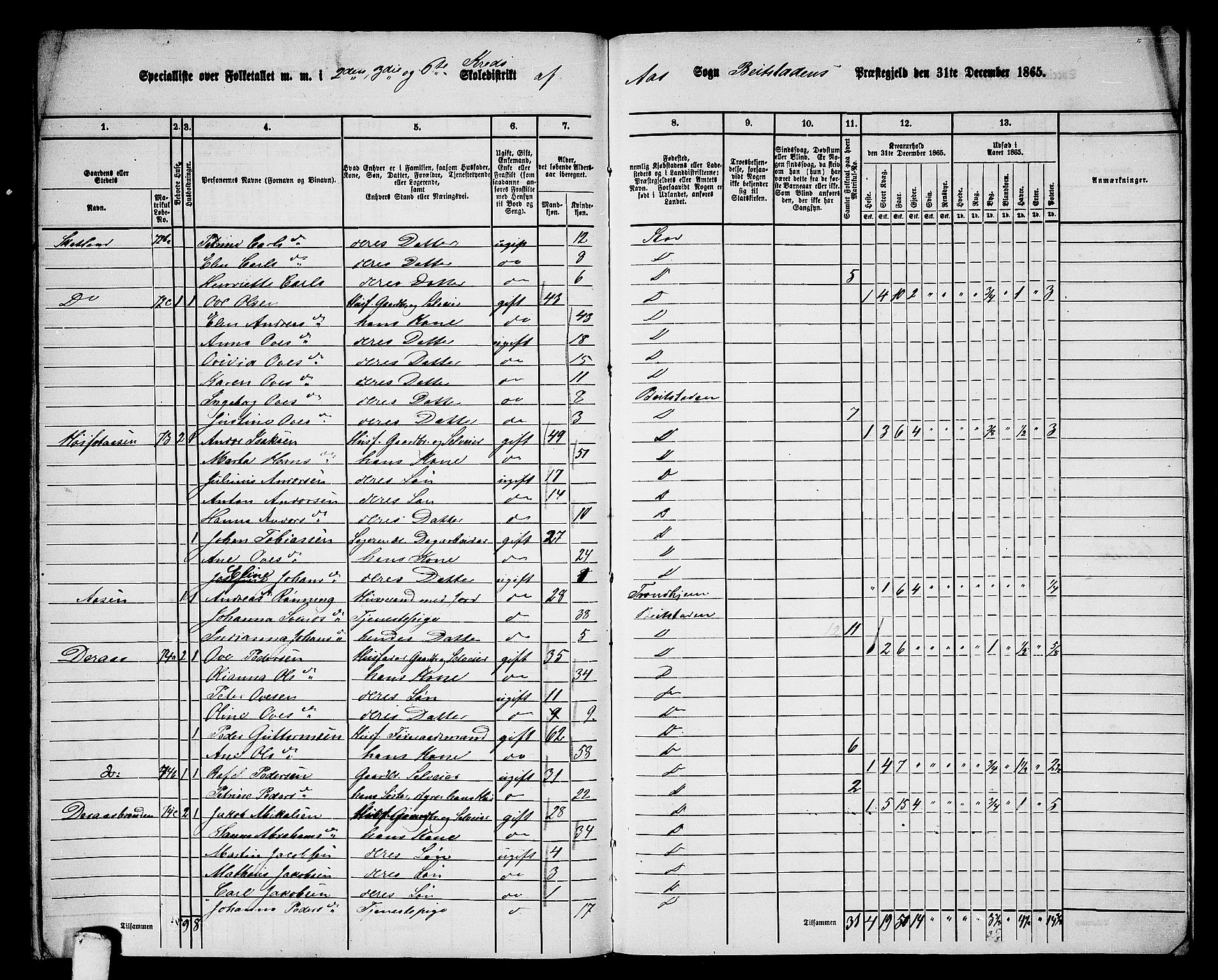 RA, 1865 census for Beitstad, 1865, p. 202