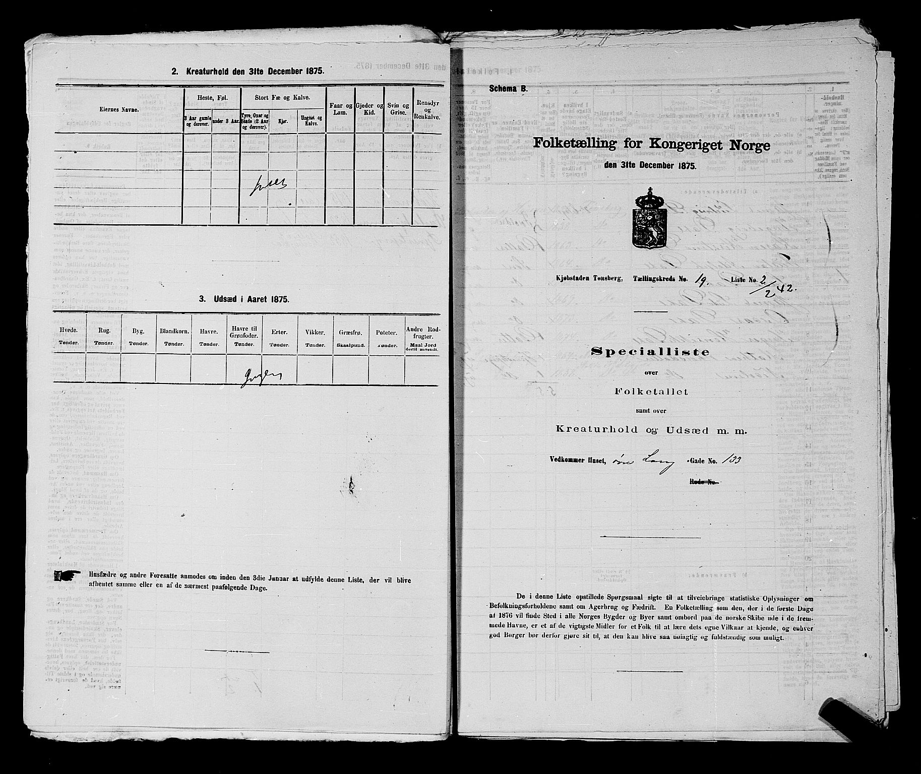 SAKO, 1875 census for 0705P Tønsberg, 1875, p. 596