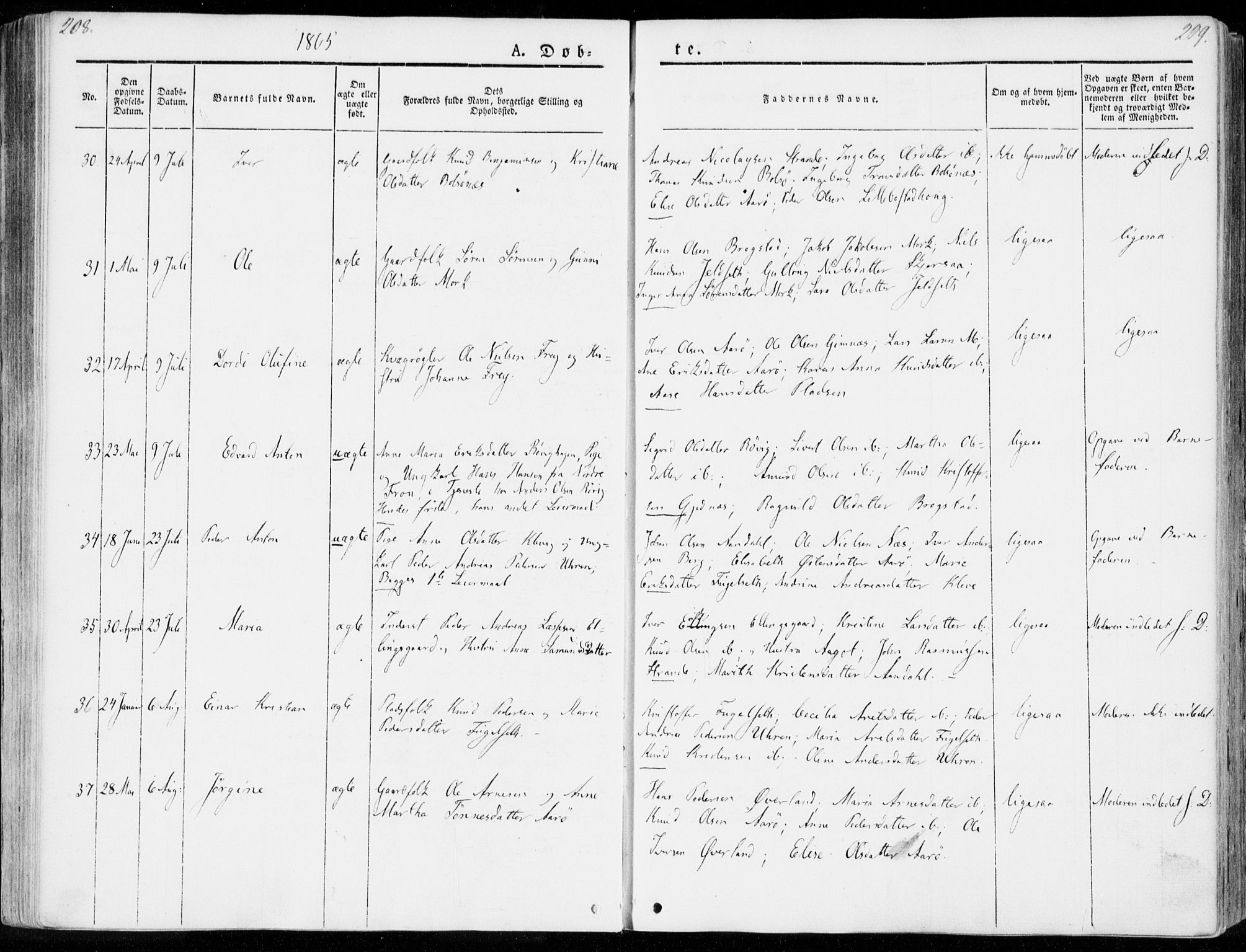 Ministerialprotokoller, klokkerbøker og fødselsregistre - Møre og Romsdal, AV/SAT-A-1454/555/L0653: Parish register (official) no. 555A04, 1843-1869, p. 208-209