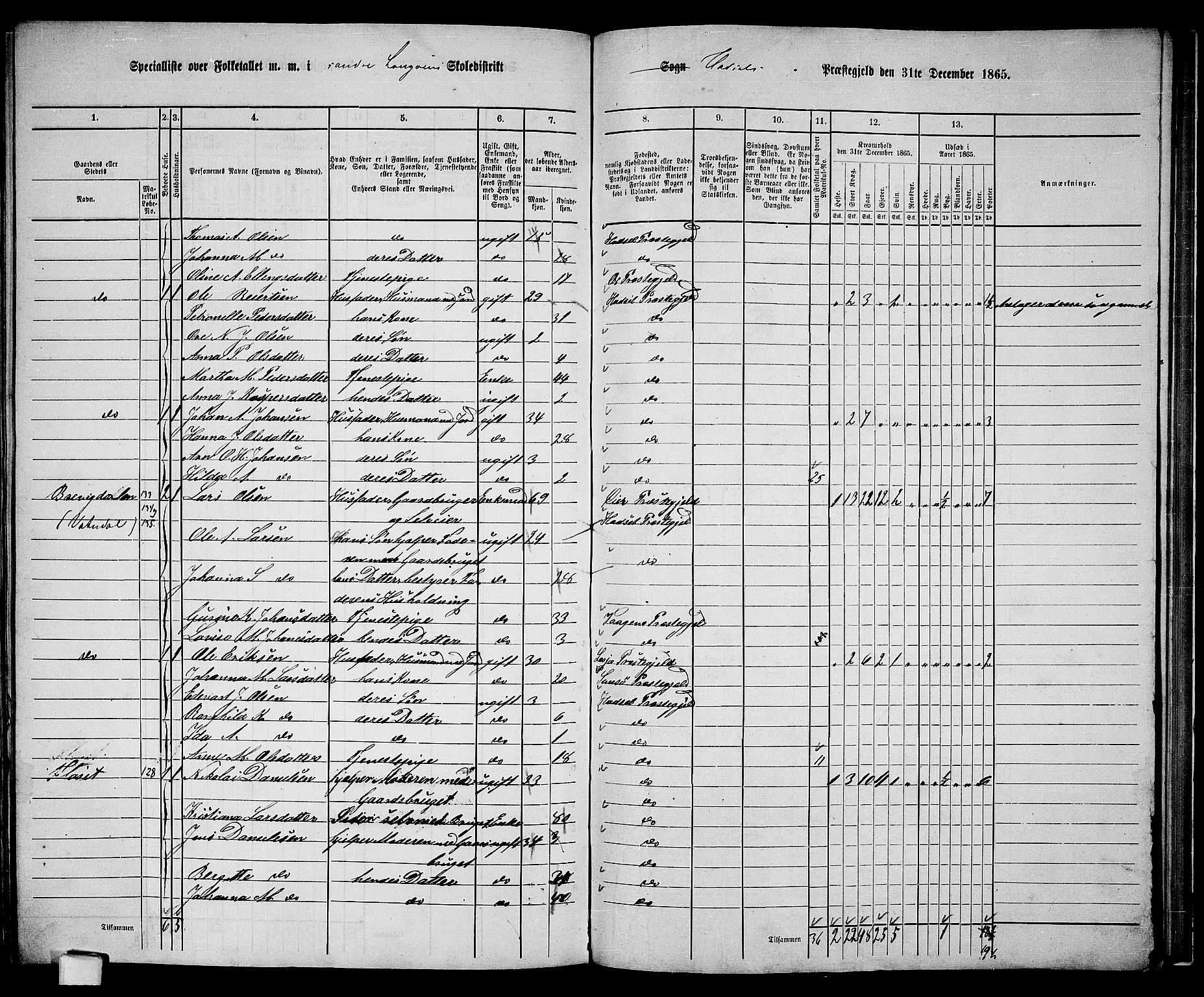 RA, 1865 census for Hadsel, 1865, p. 153