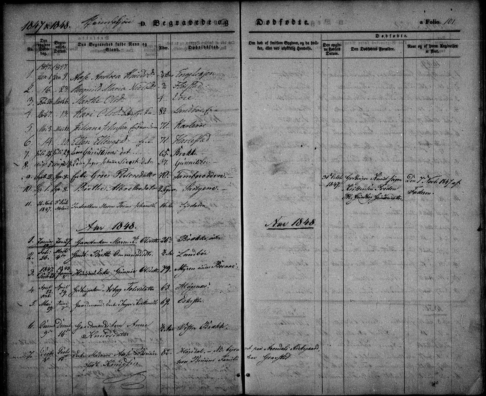 Austre Moland sokneprestkontor, AV/SAK-1111-0001/F/Fa/Faa/L0007: Parish register (official) no. A 7, 1847-1857, p. 101