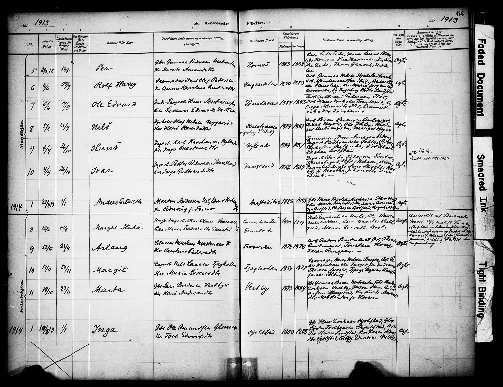 Sør-Odal prestekontor, AV/SAH-PREST-030/H/Ha/Haa/L0009: Parish register (official) no. 9, 1886-1926, p. 64