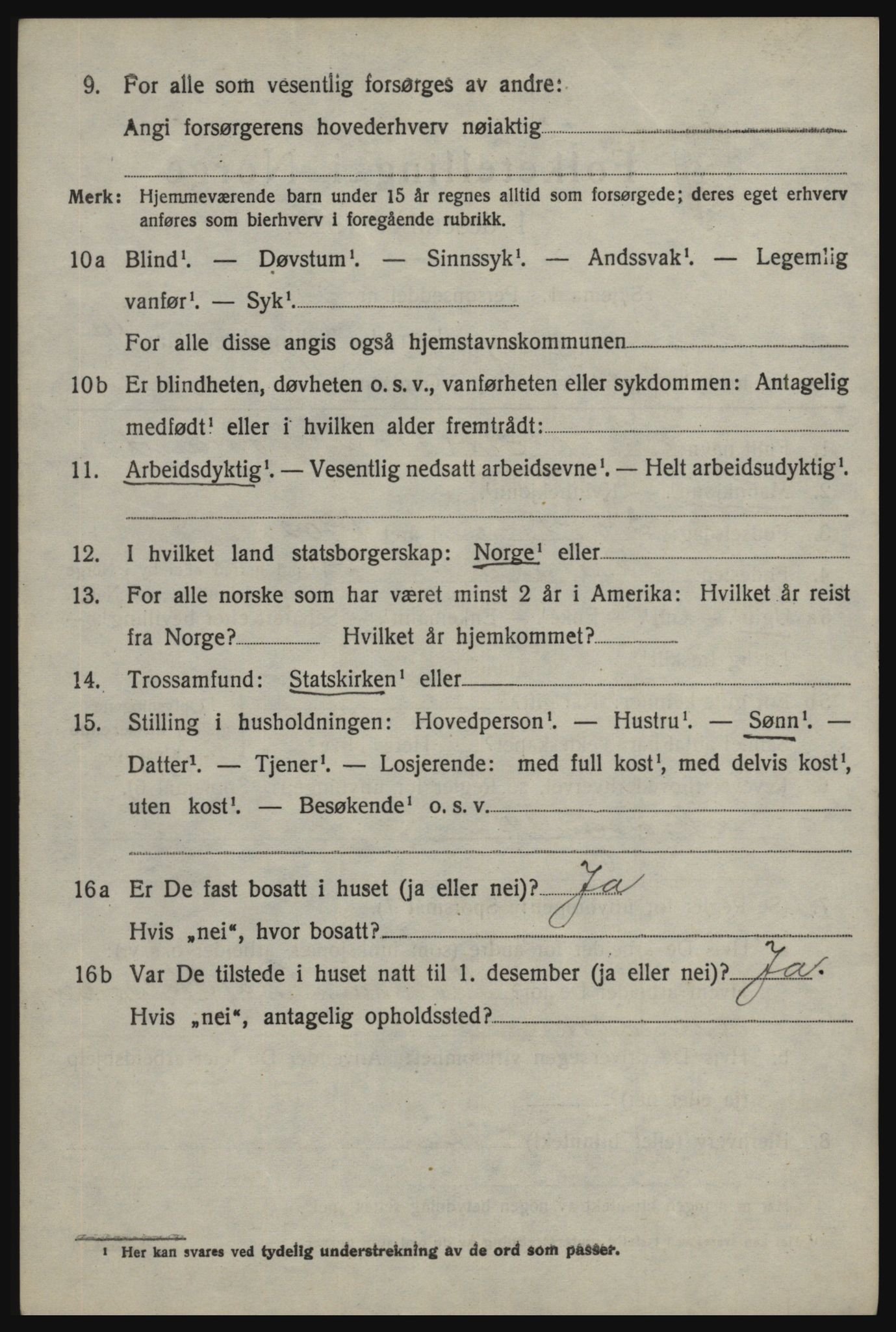 SAO, 1920 census for Skjeberg, 1920, p. 12990