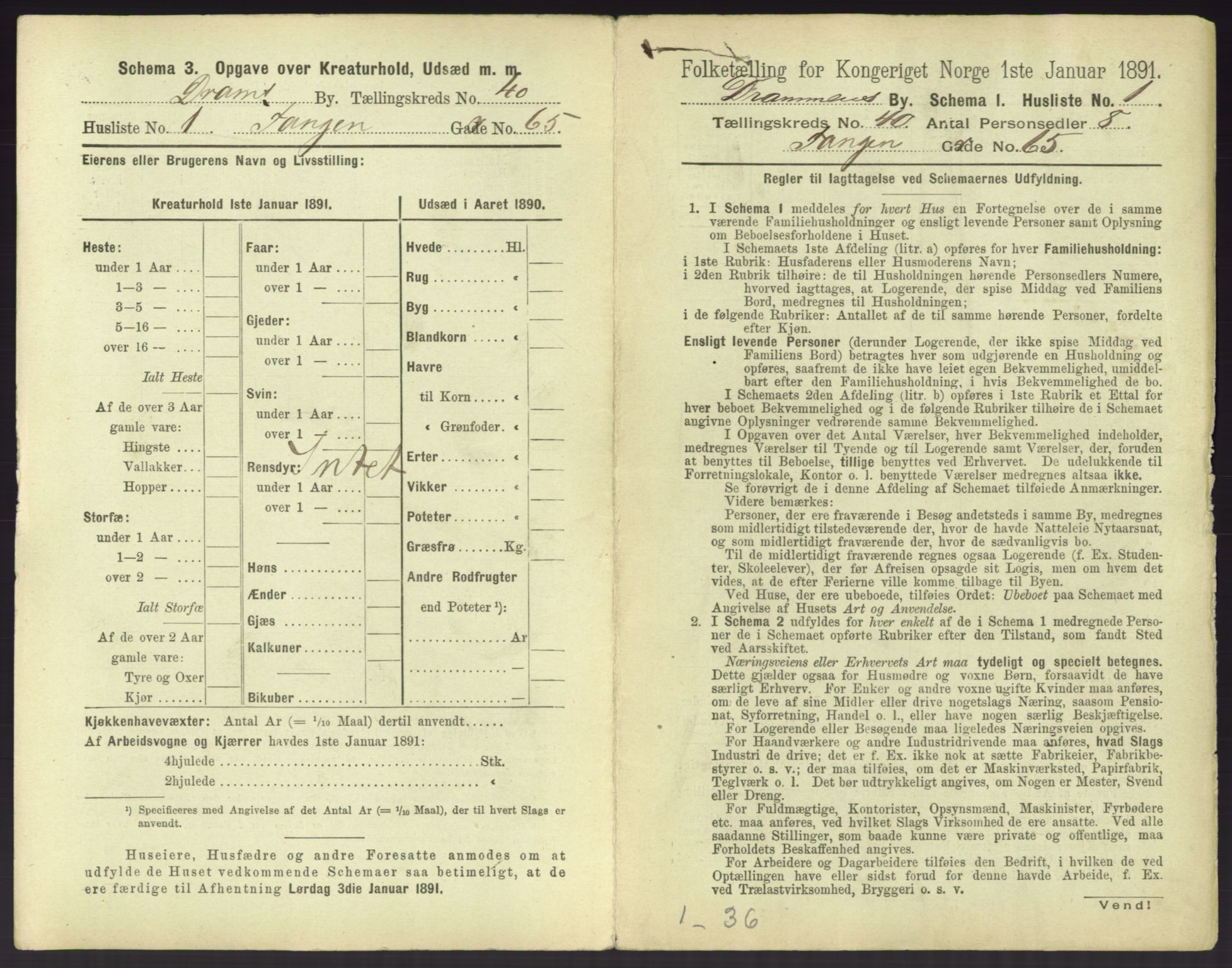 RA, 1891 census for 0602 Drammen, 1891, p. 3561