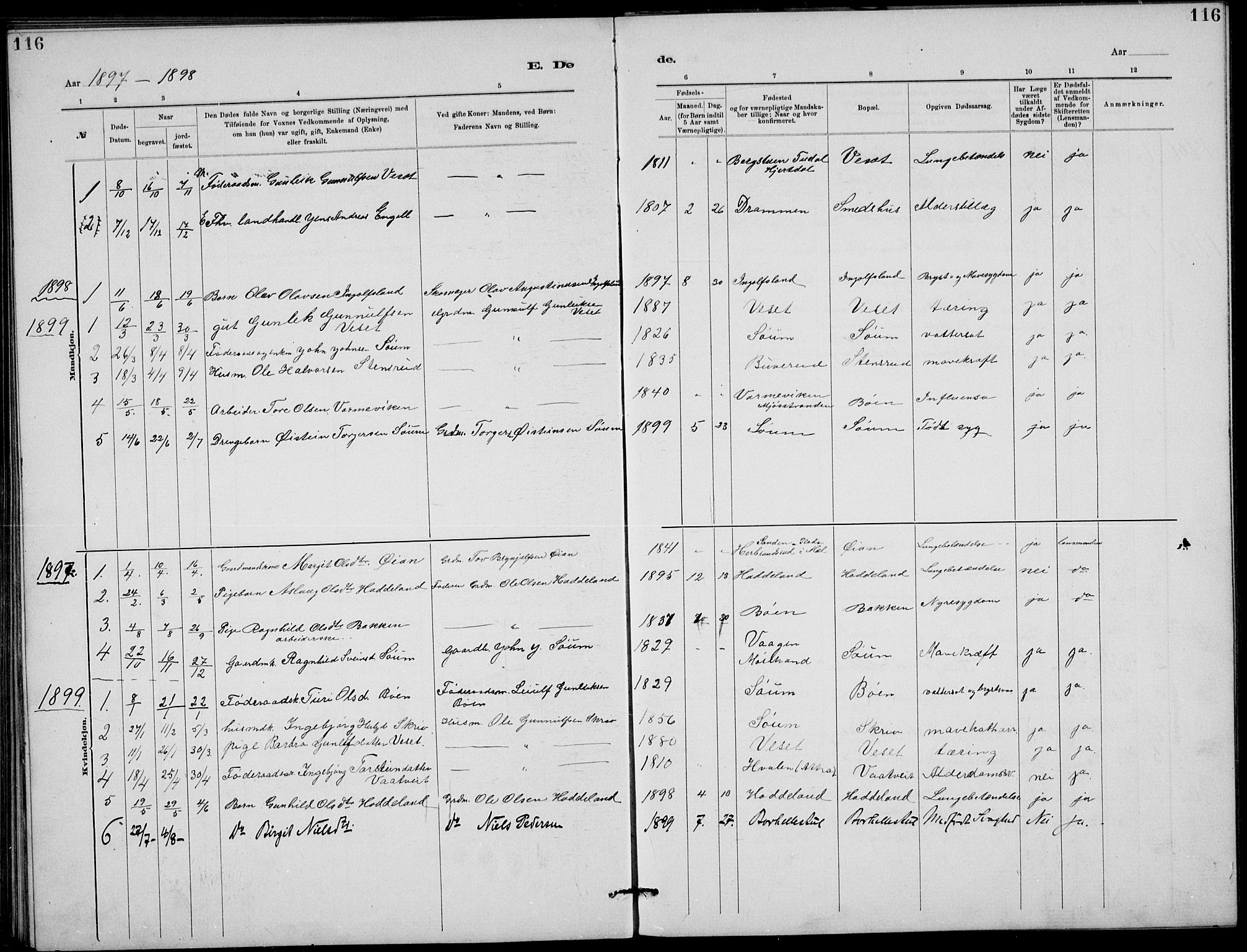 Rjukan kirkebøker, SAKO/A-294/G/Ga/L0001: Parish register (copy) no. 1, 1880-1914, p. 116