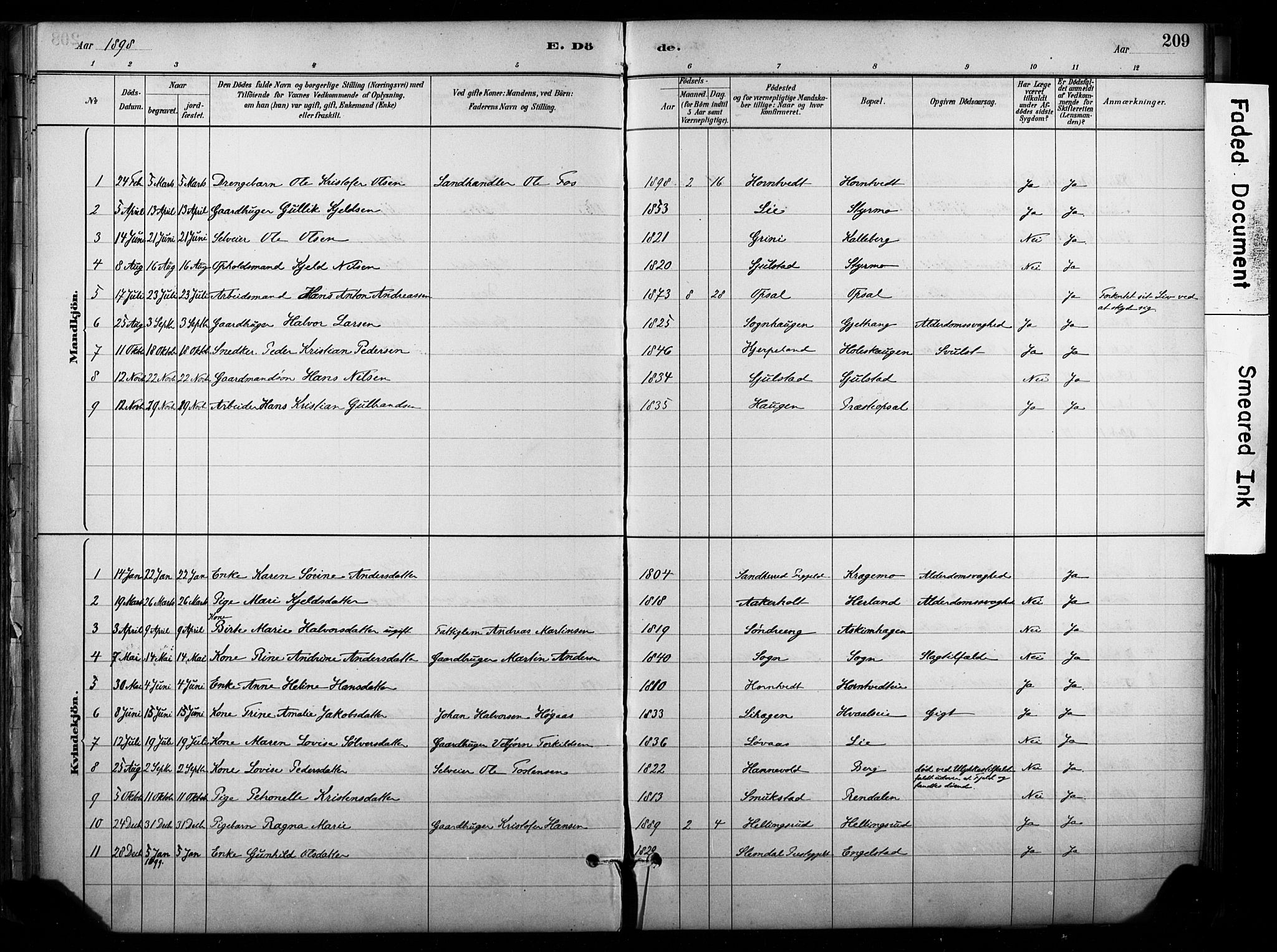 Lardal kirkebøker, SAKO/A-350/F/Fb/L0001: Parish register (official) no. II 1, 1881-1911, p. 209