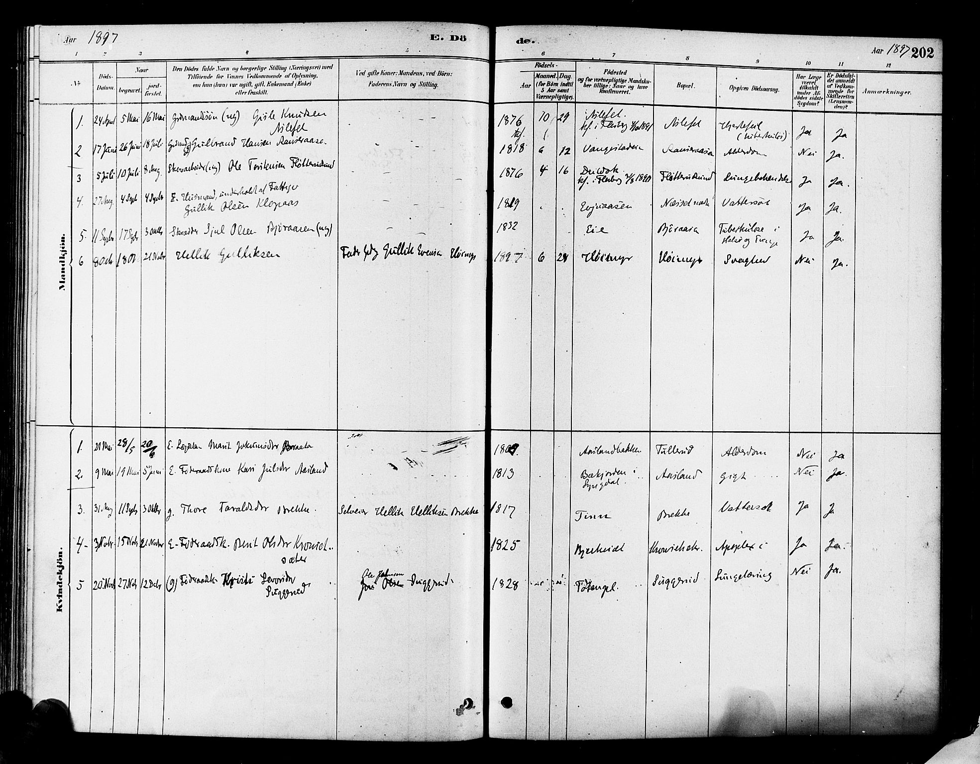 Flesberg kirkebøker, AV/SAKO-A-18/F/Fa/L0008: Parish register (official) no. I 8, 1879-1899, p. 202