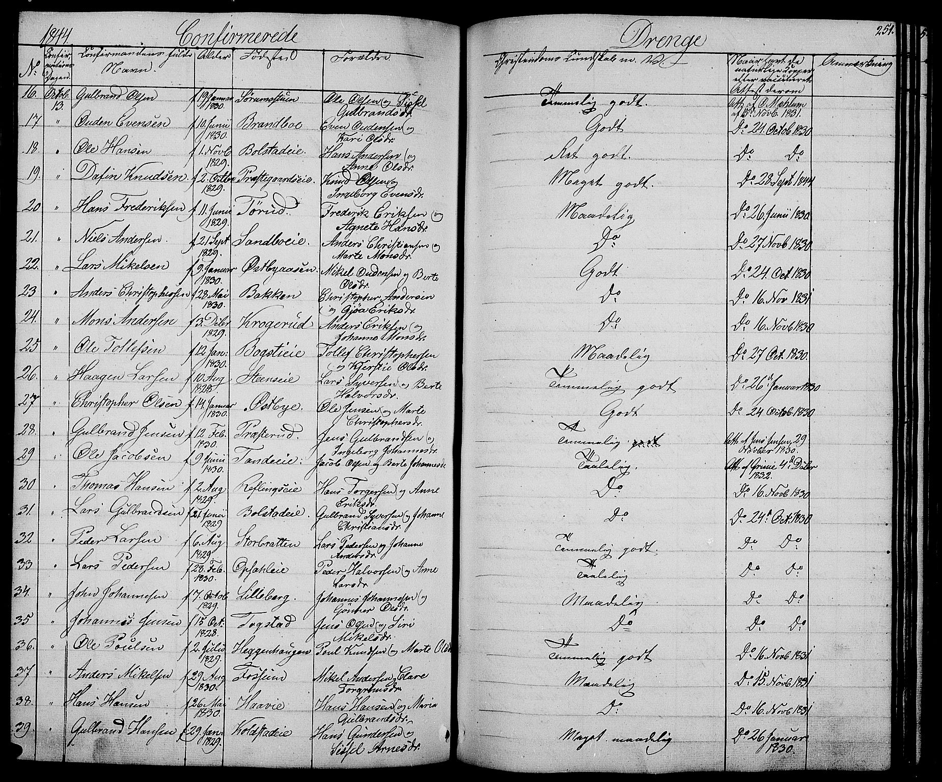 Ringsaker prestekontor, AV/SAH-PREST-014/L/La/L0005: Parish register (copy) no. 5, 1839-1850, p. 251