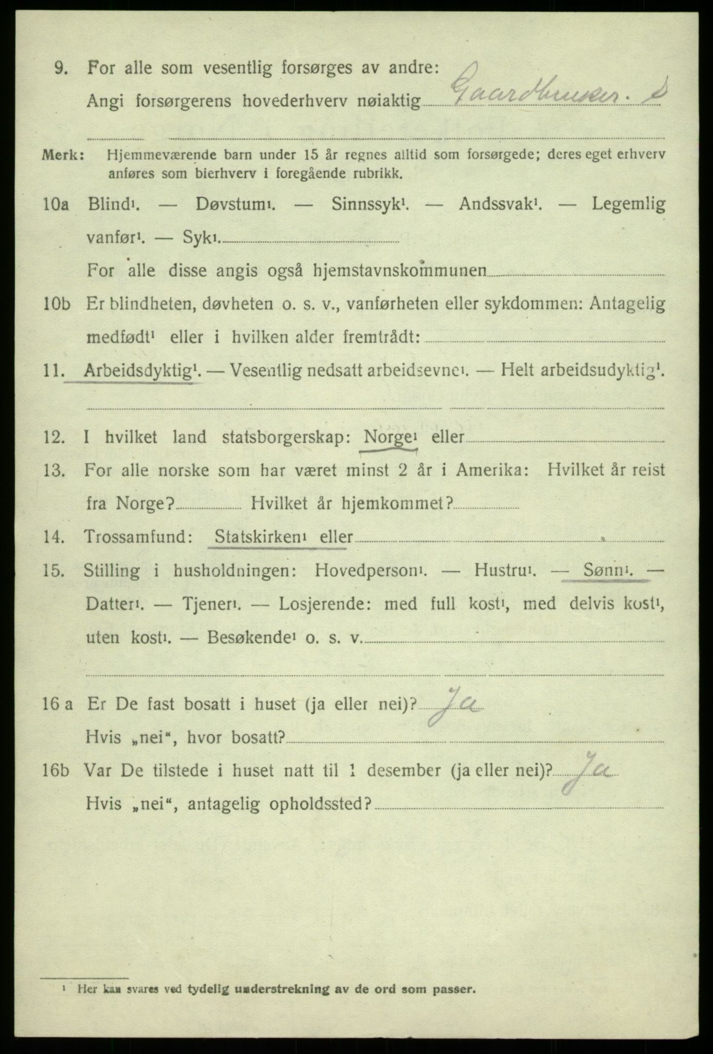 SAB, 1920 census for Hålandsdal, 1920, p. 249