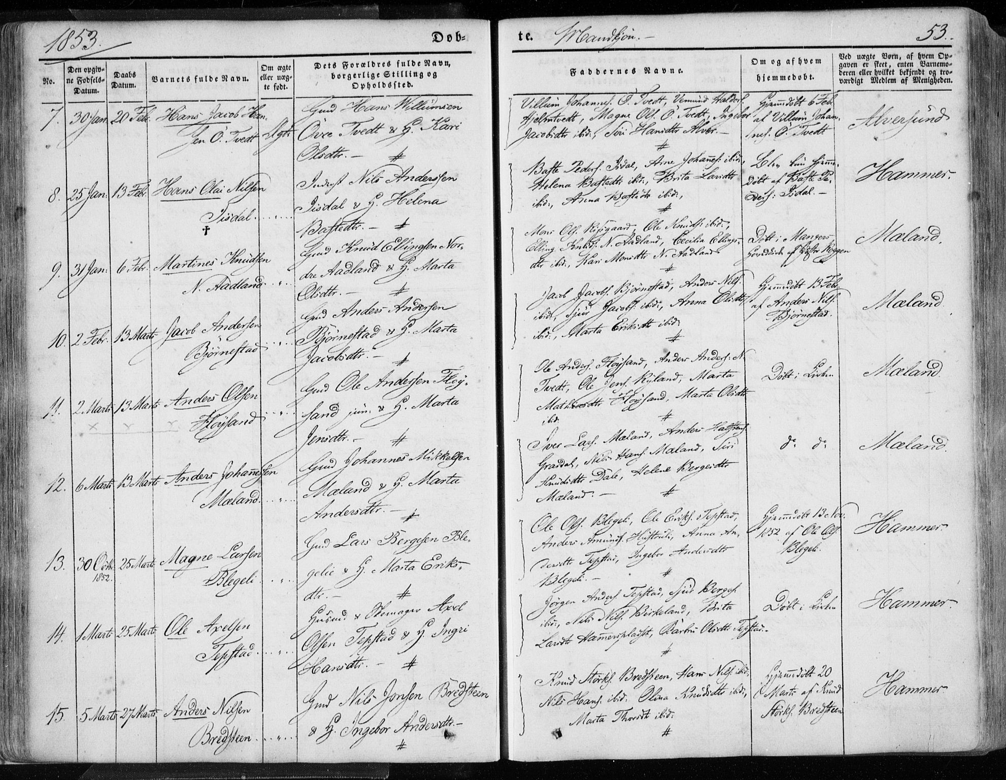 Hamre sokneprestembete, AV/SAB-A-75501/H/Ha/Haa/Haaa/L0013: Parish register (official) no. A 13, 1846-1857, p. 53