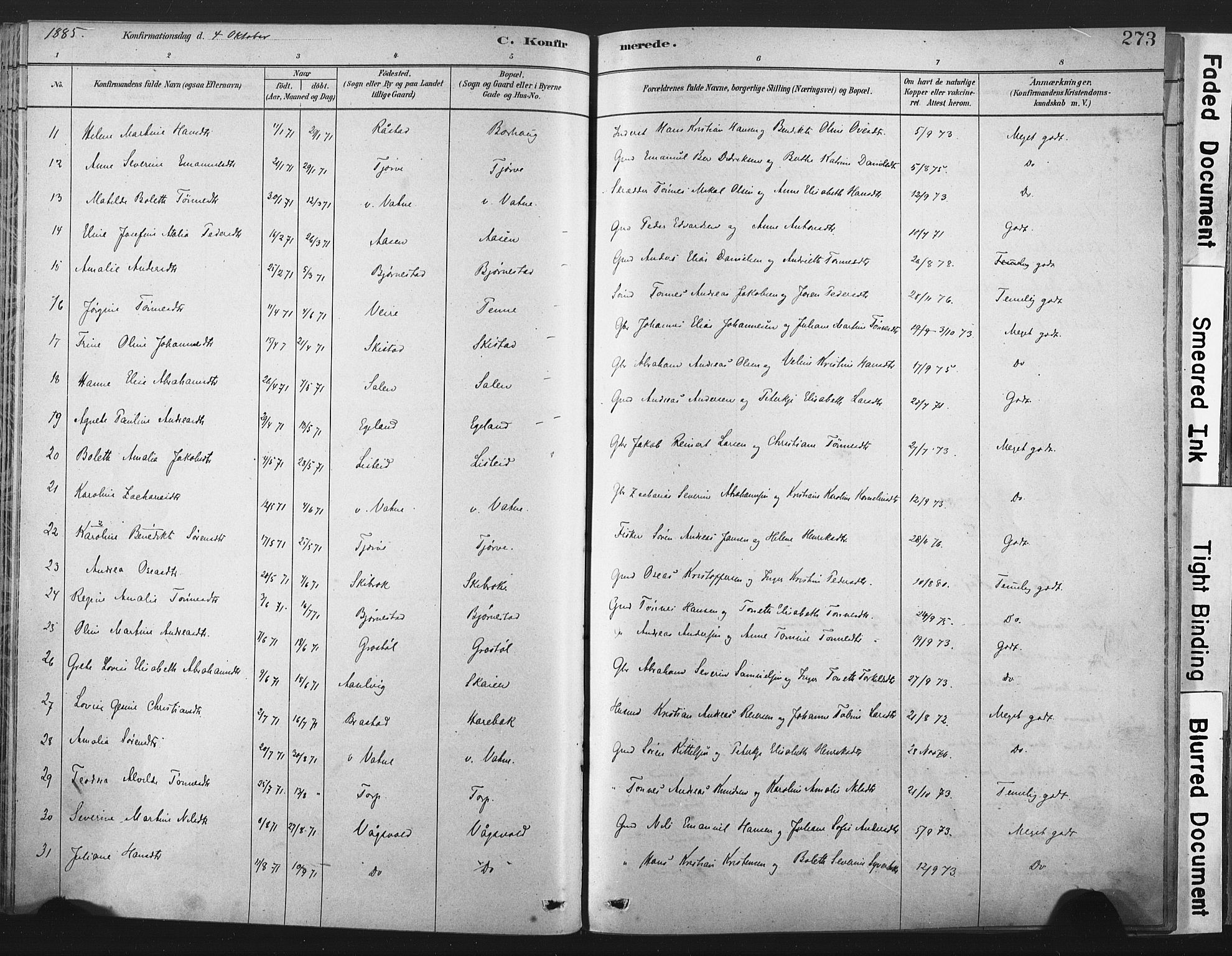 Lista sokneprestkontor, AV/SAK-1111-0027/F/Fa/L0012: Parish register (official) no. A 12, 1879-1903, p. 273