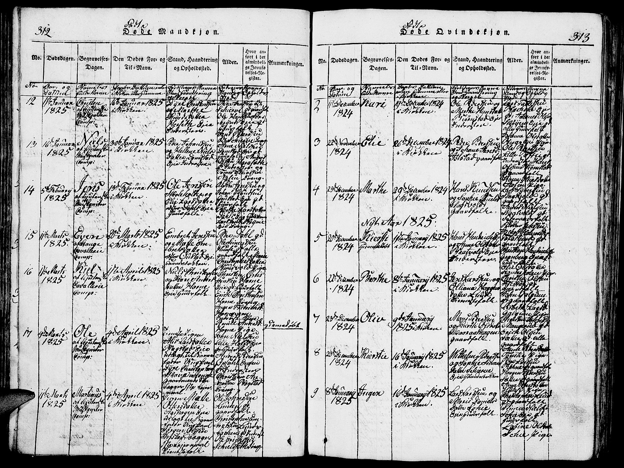 Romedal prestekontor, SAH/PREST-004/L/L0005: Parish register (copy) no. 5, 1814-1829, p. 312-313