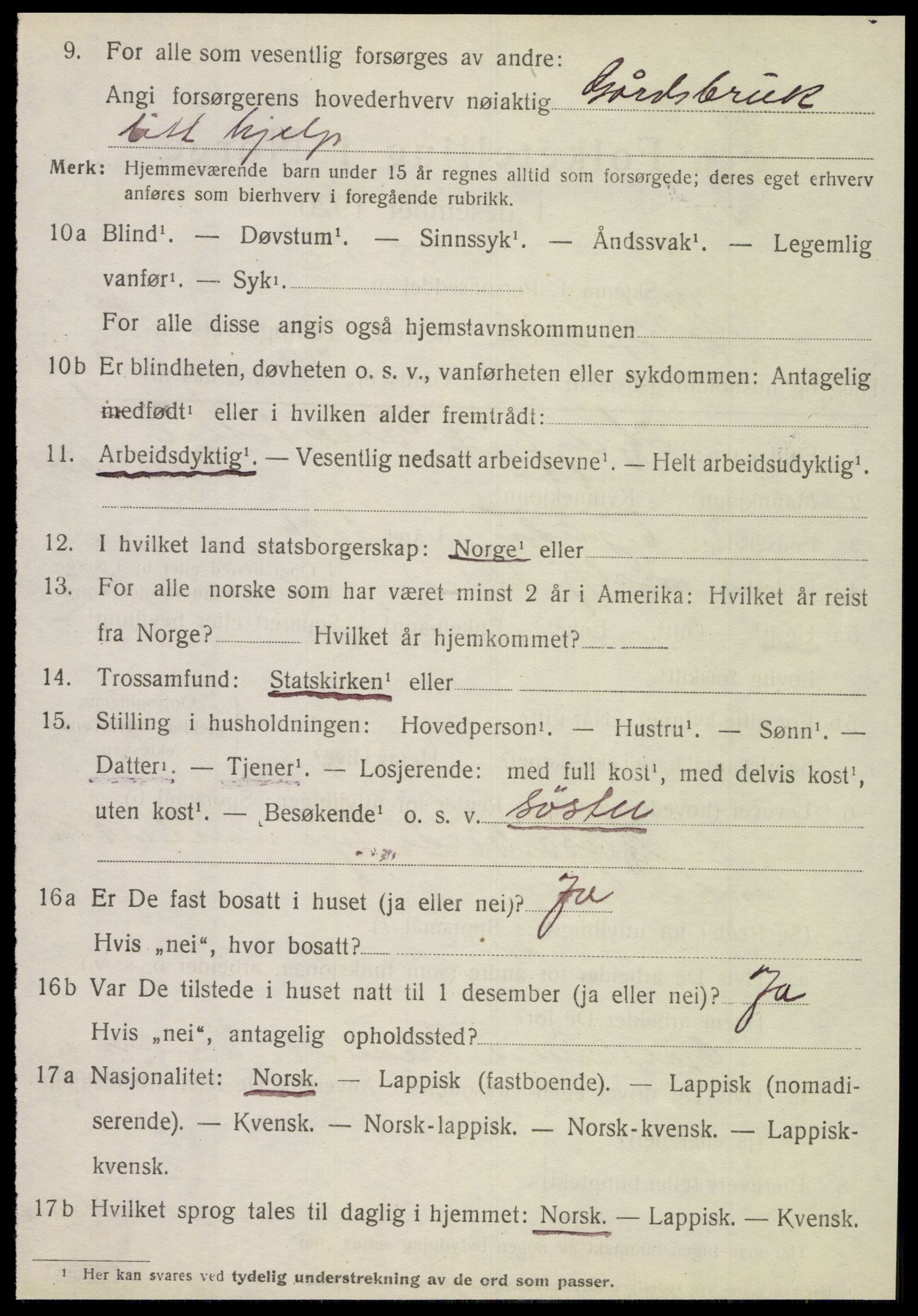 SAT, 1920 census for Hattfjelldal, 1920, p. 551