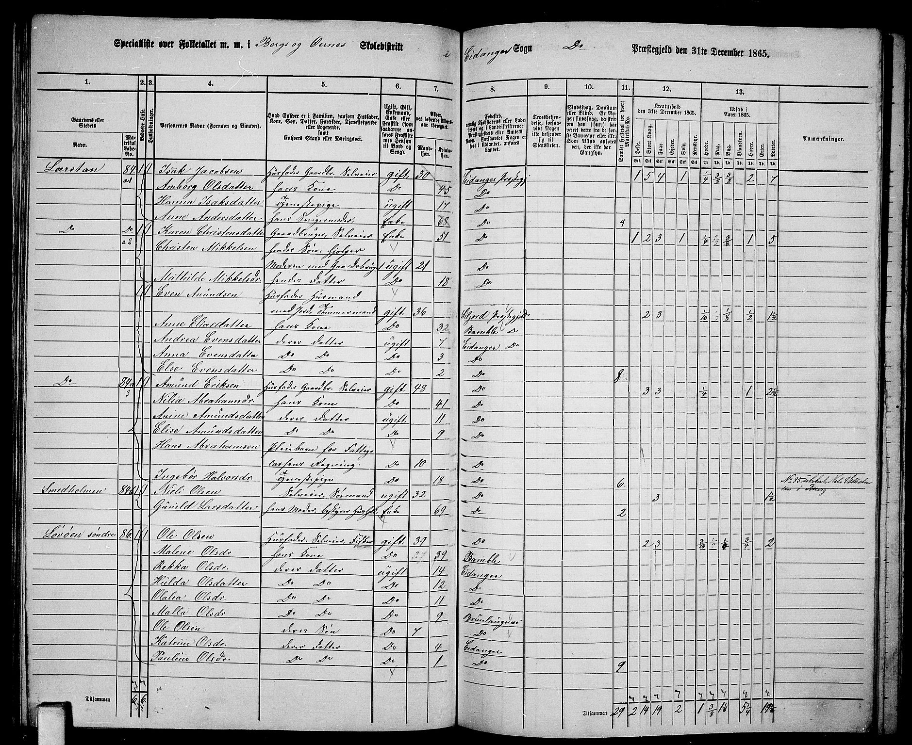 RA, 1865 census for Eidanger, 1865, p. 57