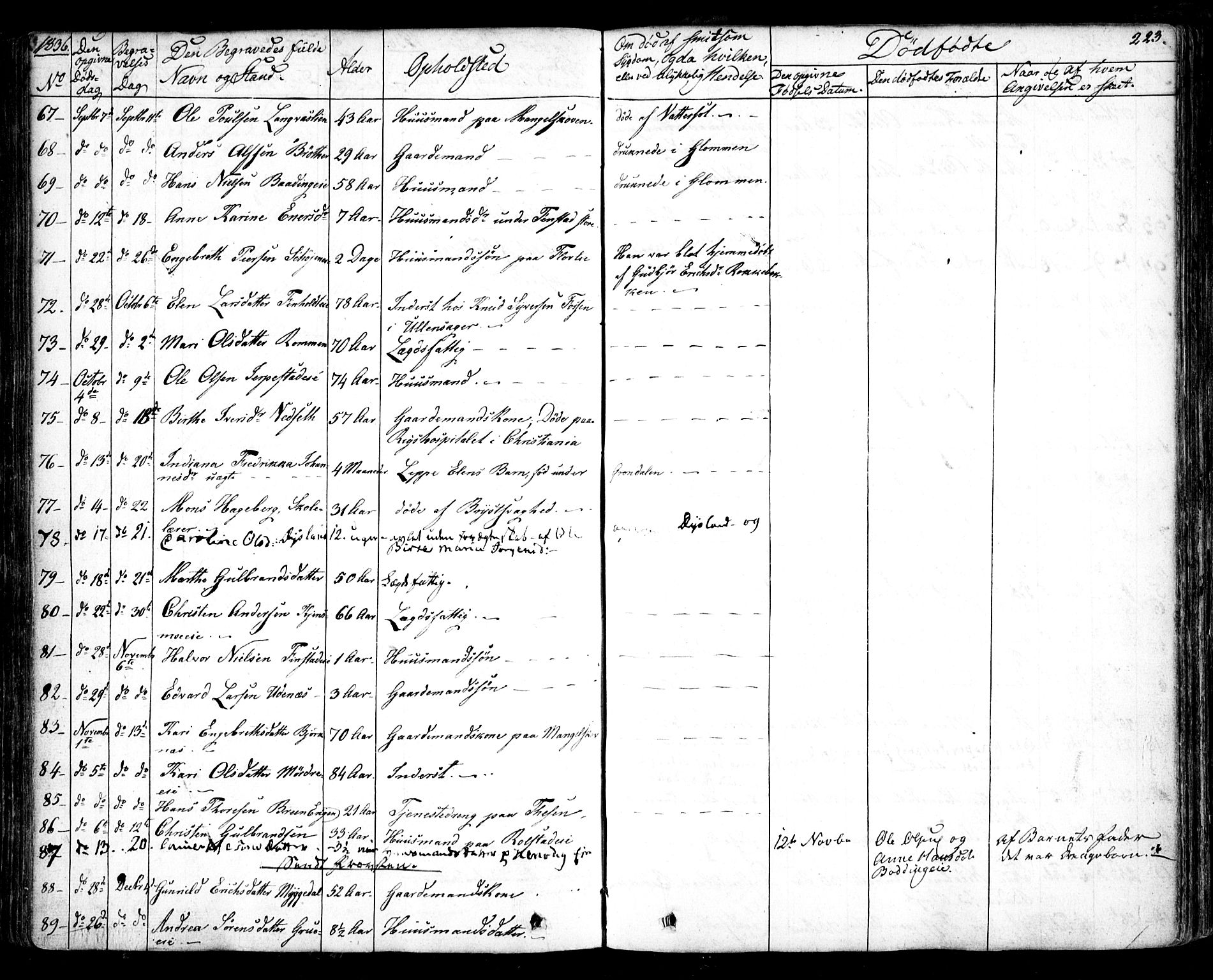 Nes prestekontor Kirkebøker, AV/SAO-A-10410/F/Fa/L0006: Parish register (official) no. I 6, 1833-1845, p. 223