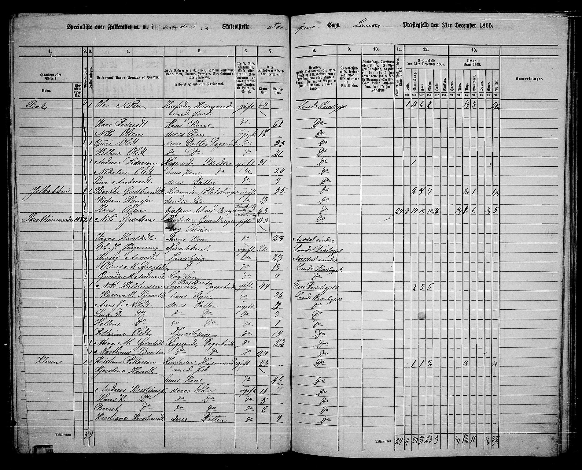 RA, 1865 census for Land, 1865, p. 138