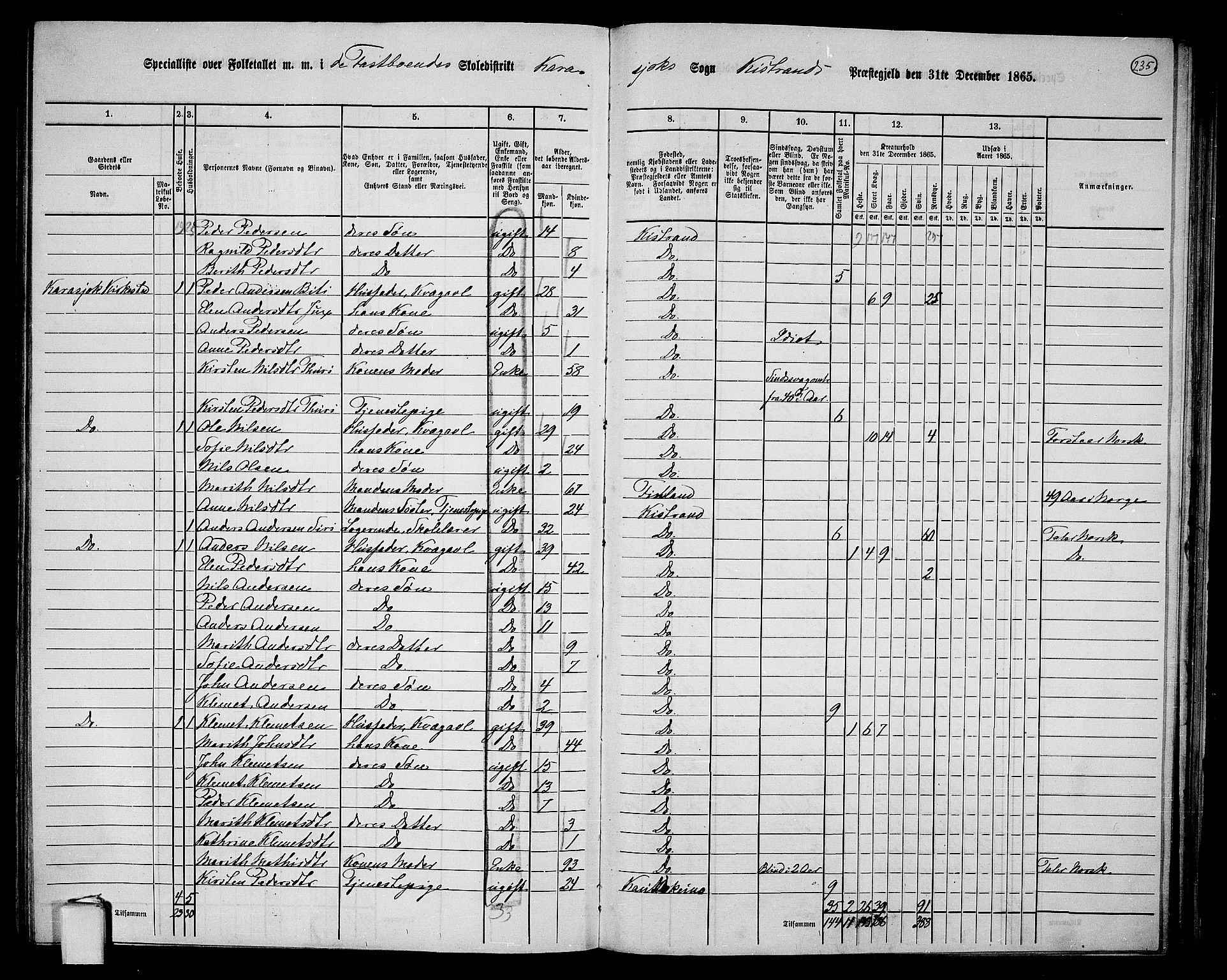 RA, 1865 census for Kistrand, 1865, p. 73