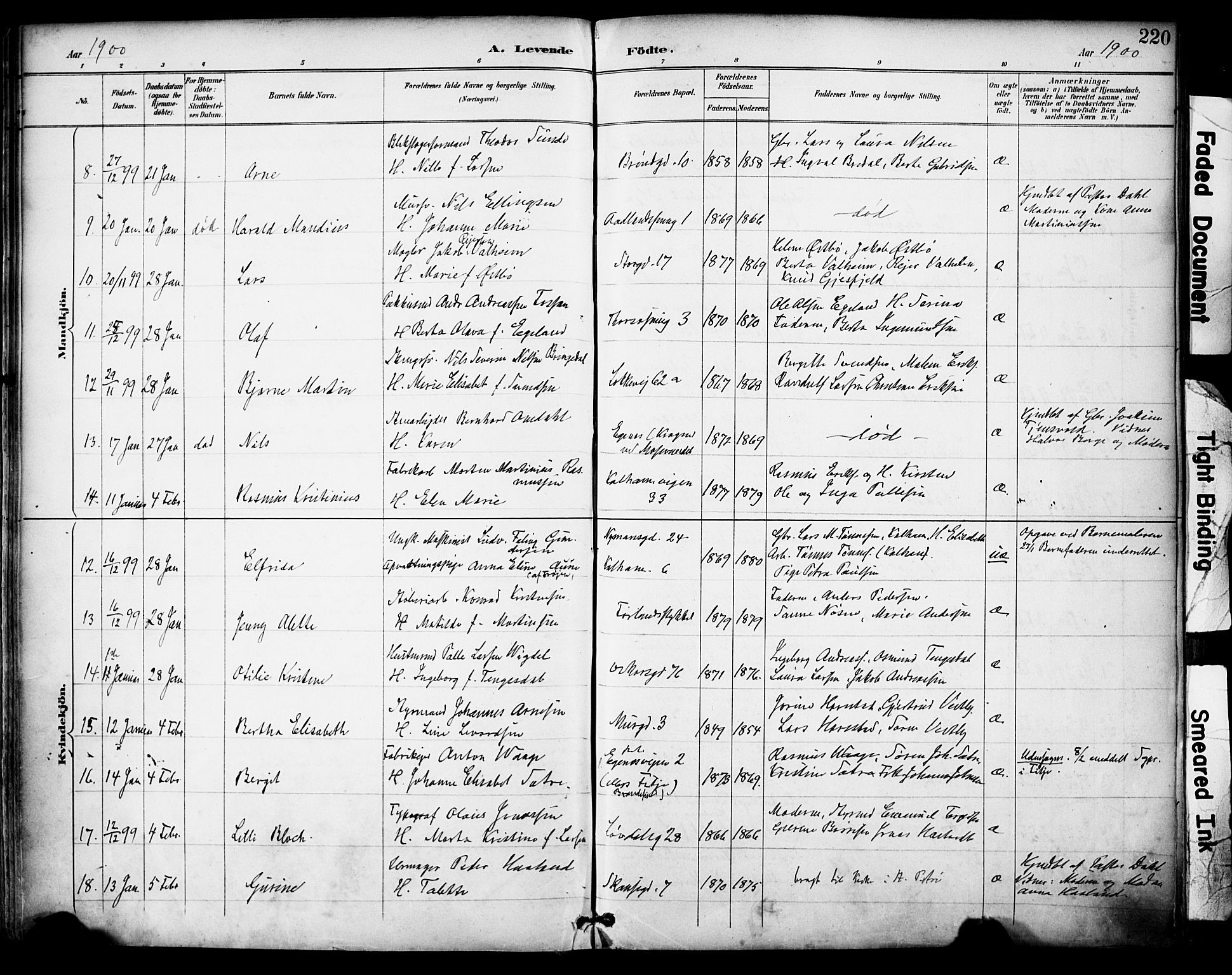 Domkirken sokneprestkontor, AV/SAST-A-101812/001/30/30BA/L0030: Parish register (official) no. A 29, 1889-1902, p. 220