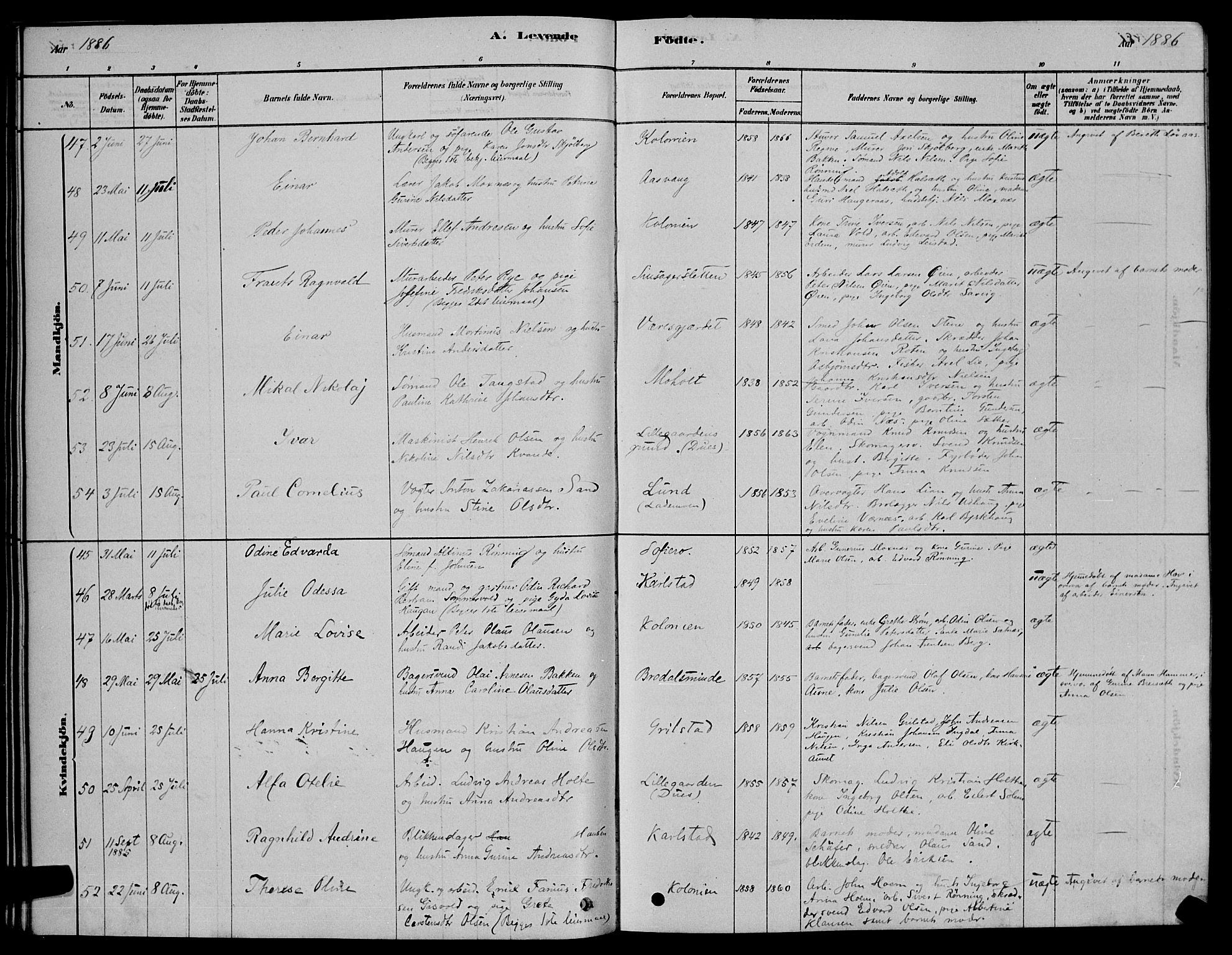 Ministerialprotokoller, klokkerbøker og fødselsregistre - Sør-Trøndelag, AV/SAT-A-1456/606/L0312: Parish register (copy) no. 606C08, 1878-1894