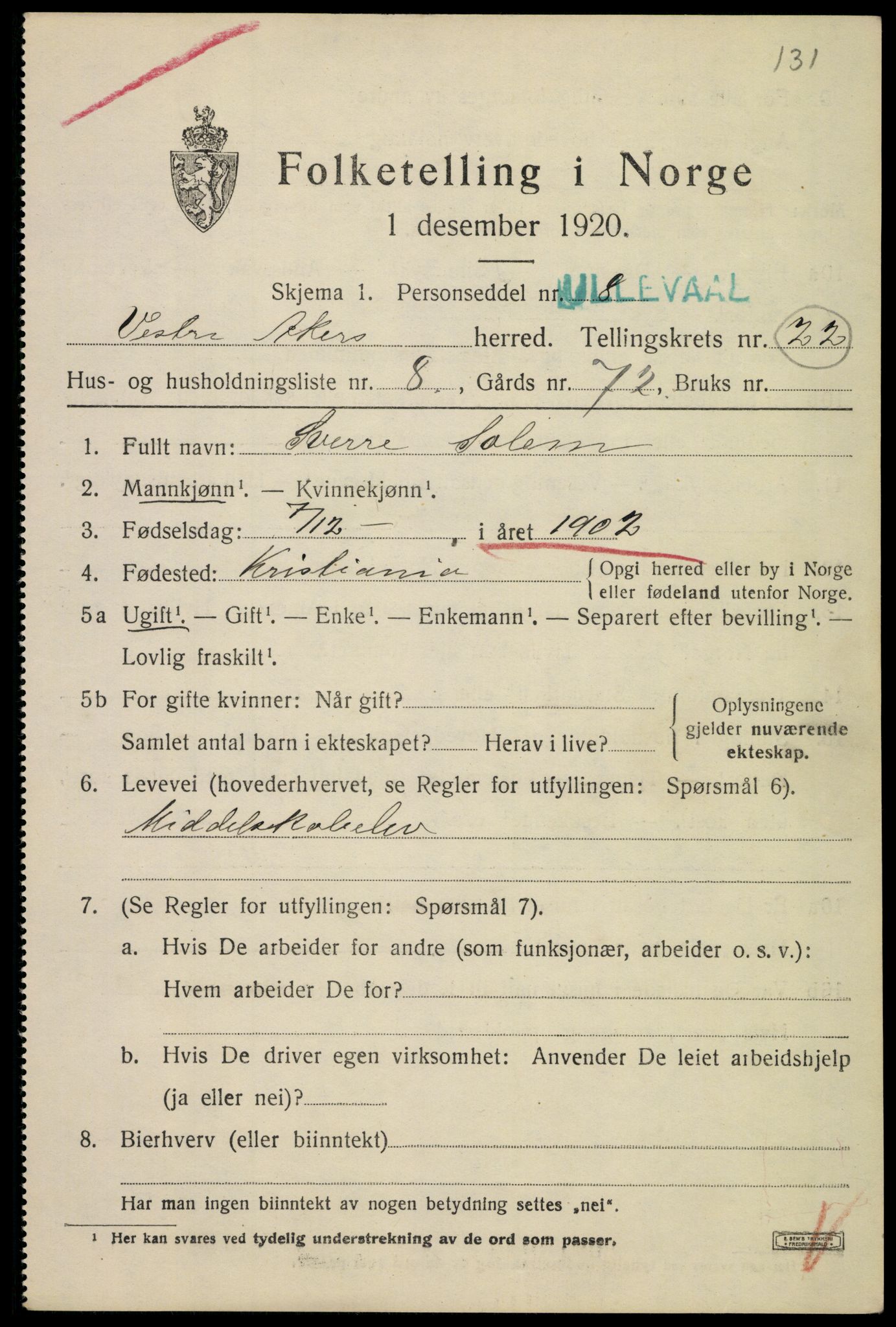 SAO, 1920 census for Aker, 1920, p. 125894