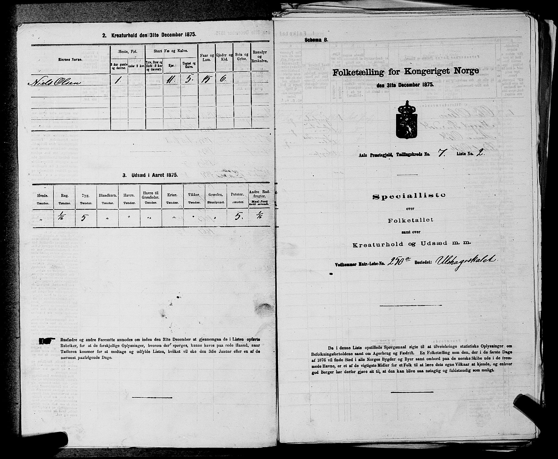 SAKO, 1875 census for 0619P Ål, 1875, p. 838