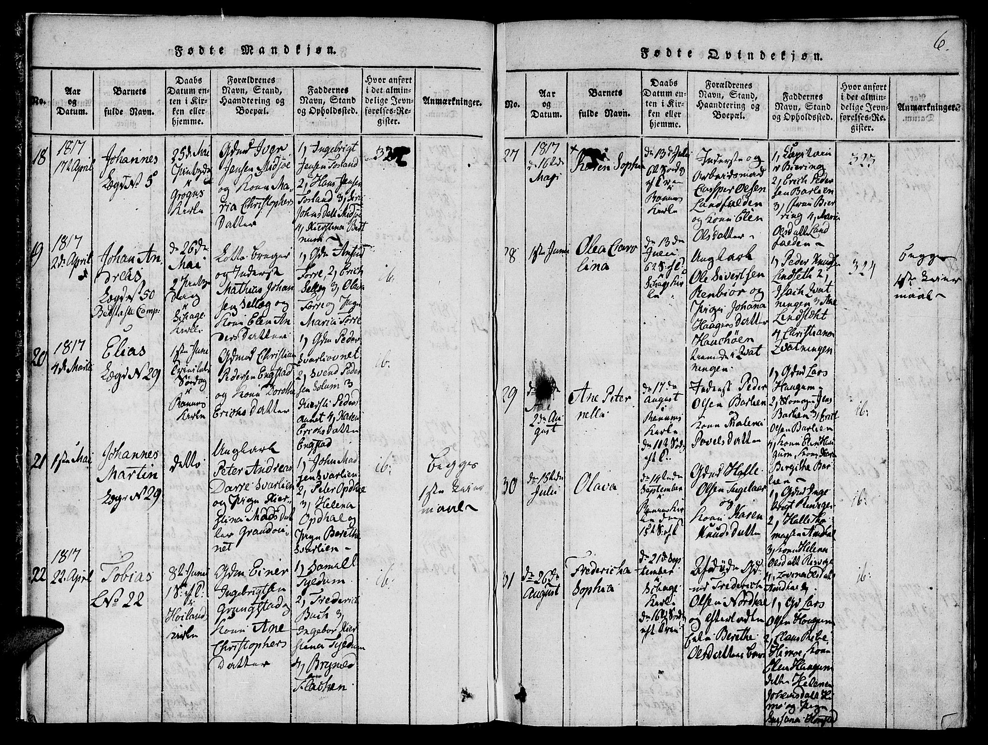 Ministerialprotokoller, klokkerbøker og fødselsregistre - Nord-Trøndelag, AV/SAT-A-1458/764/L0559: Parish register (copy) no. 764C01, 1816-1824, p. 6