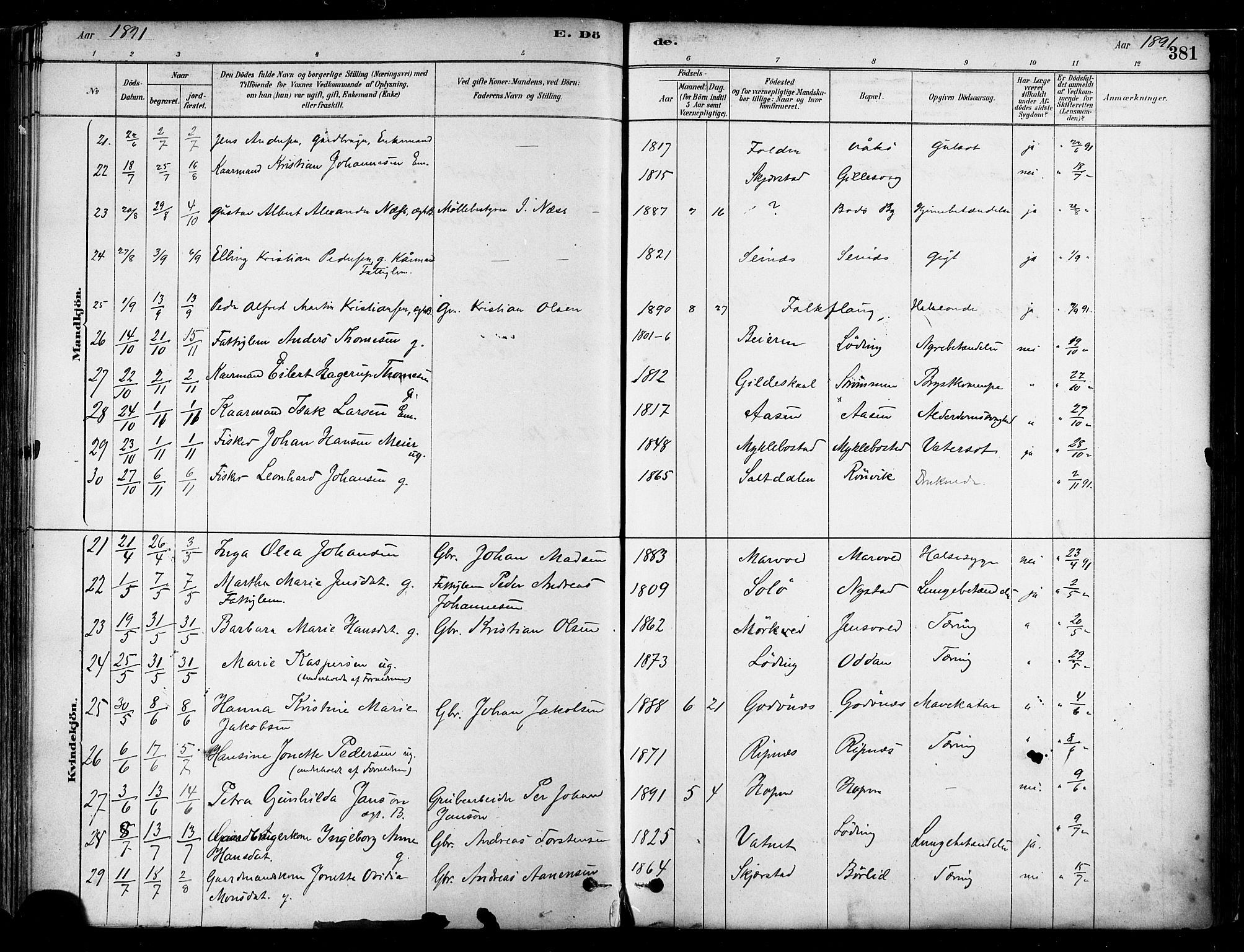 Ministerialprotokoller, klokkerbøker og fødselsregistre - Nordland, SAT/A-1459/802/L0054: Parish register (official) no. 802A01, 1879-1893, p. 381