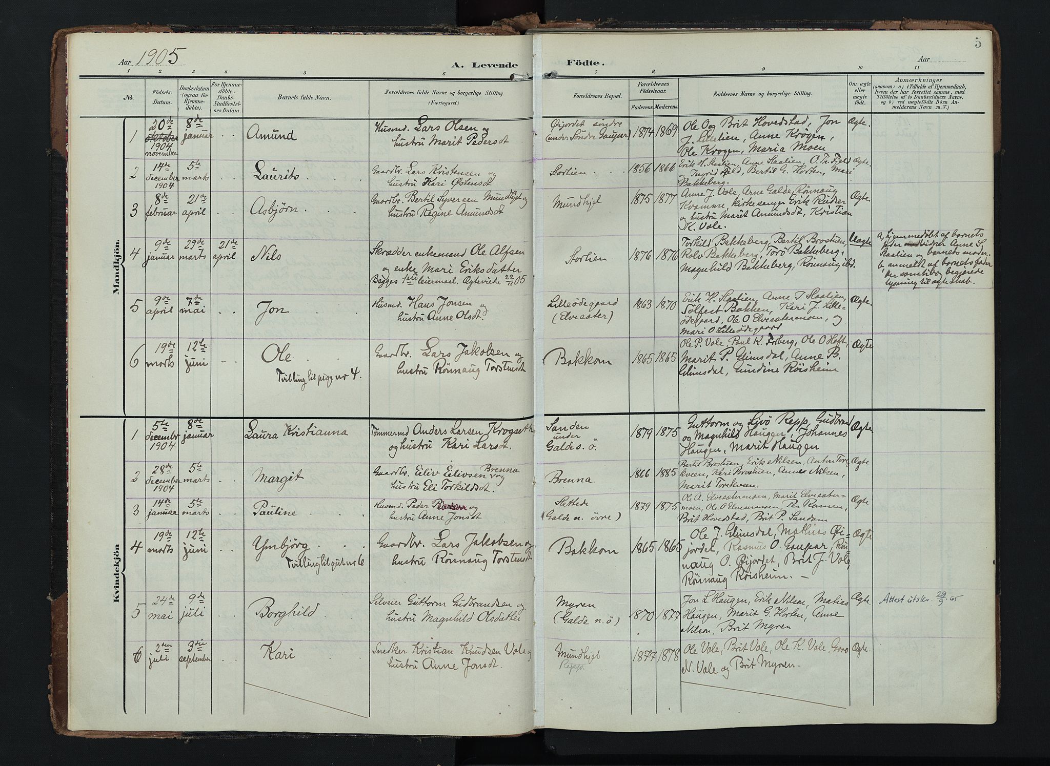 Lom prestekontor, AV/SAH-PREST-070/K/L0012: Parish register (official) no. 12, 1904-1928, p. 5