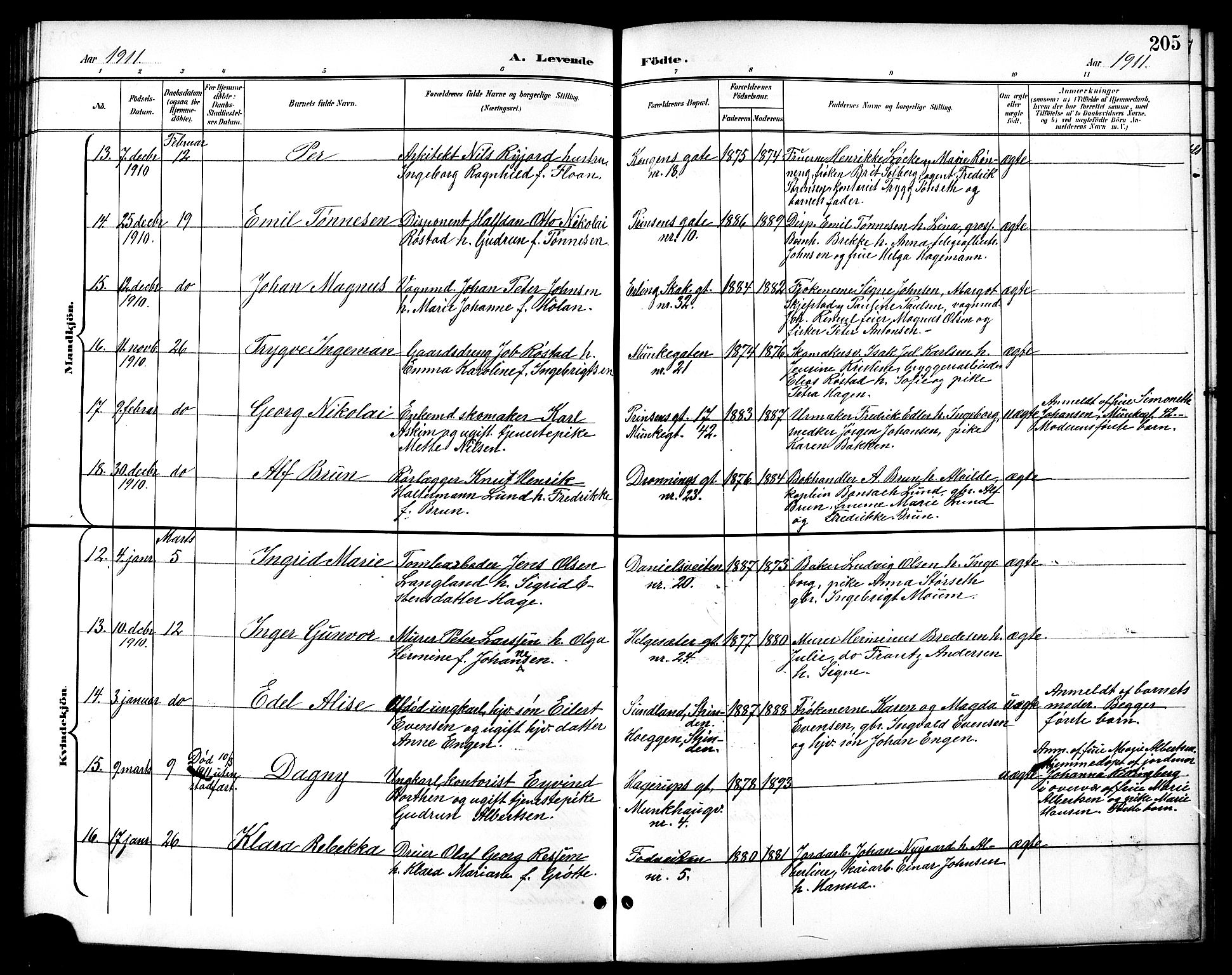 Ministerialprotokoller, klokkerbøker og fødselsregistre - Sør-Trøndelag, AV/SAT-A-1456/601/L0094: Parish register (copy) no. 601C12, 1898-1911, p. 205