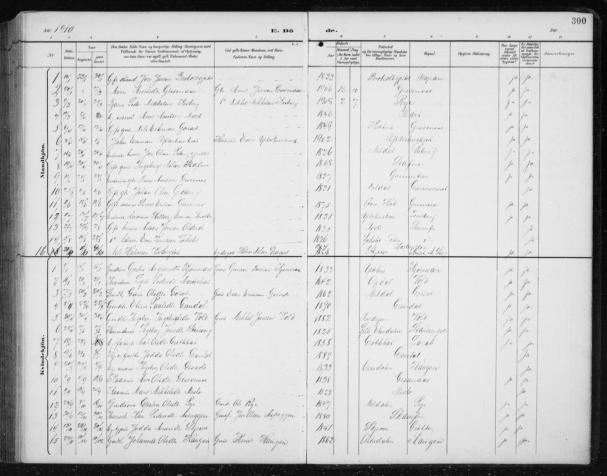 Ministerialprotokoller, klokkerbøker og fødselsregistre - Sør-Trøndelag, SAT/A-1456/674/L0876: Parish register (copy) no. 674C03, 1892-1912, p. 300